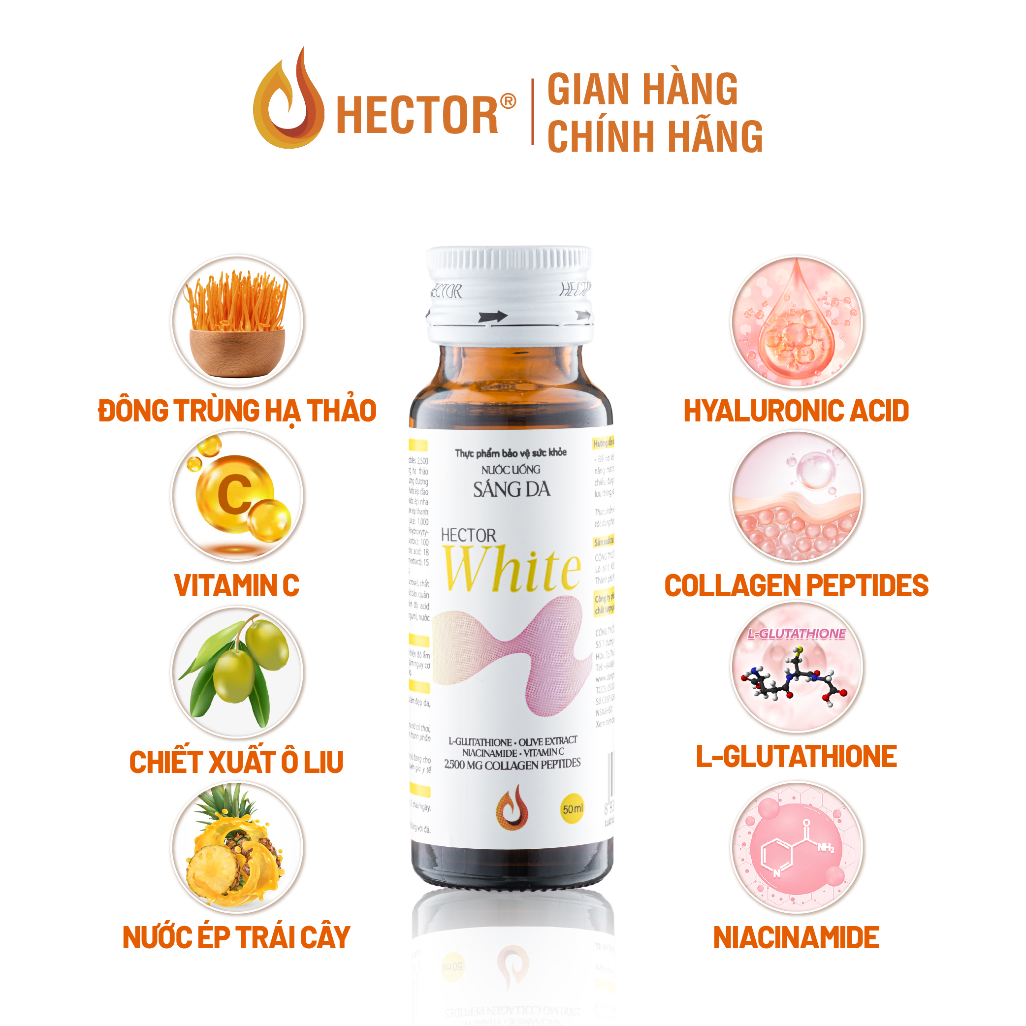 Nước uống sáng da Hector White hỗ trợ giúp da sáng đẹp và tăng độ đàn hồi (10 chai x 50ml)