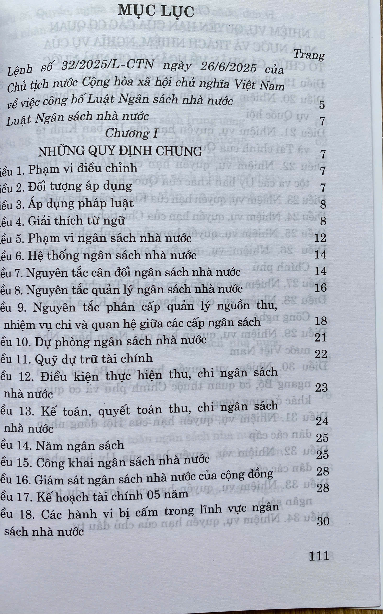 Luật Ngân Sách Nhà Nước Năm 2025
