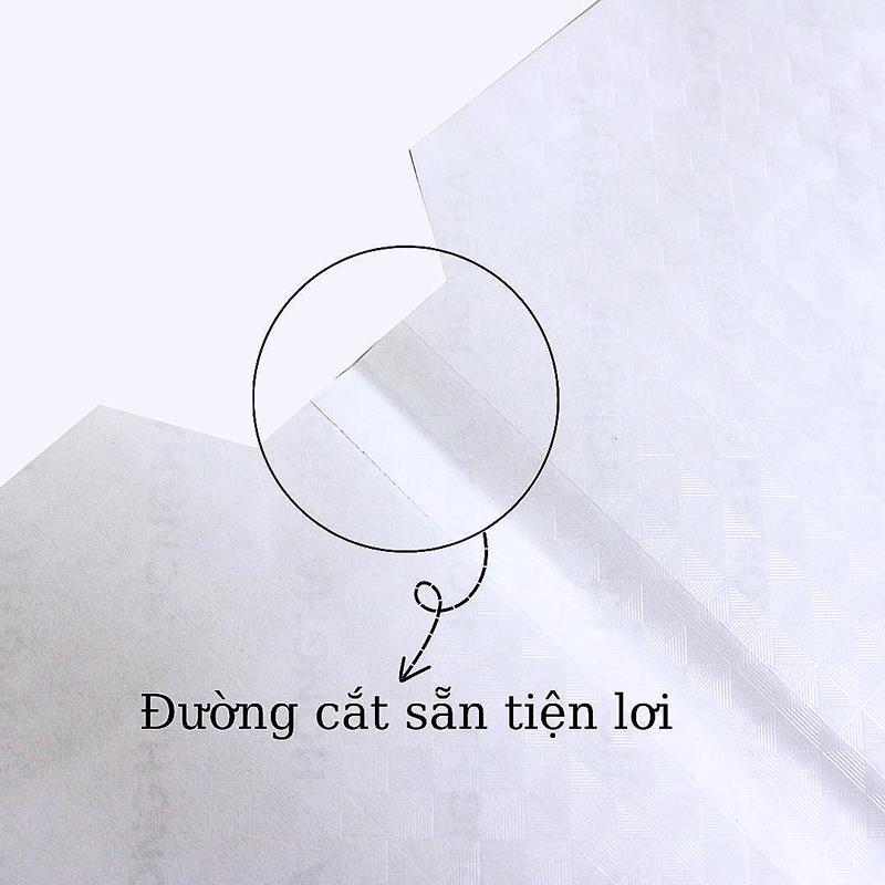 Bọc Vở Decal Kẻ Ngang - Hồng Hà 3560 (10 Tờ/Xấp)