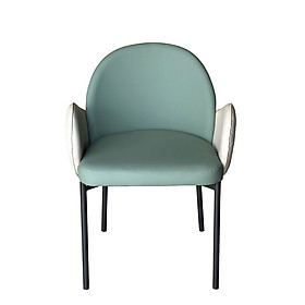 Ghế phòng ăn nhập khẩu ECO 32A-P Nội thất Capta Ghế bàn ăn có tay lưng tựa bo cong nệm da PU cao cấp màu chủ đạo nâu bò xanh ngọc xám chân sắt sơn tĩnh điện