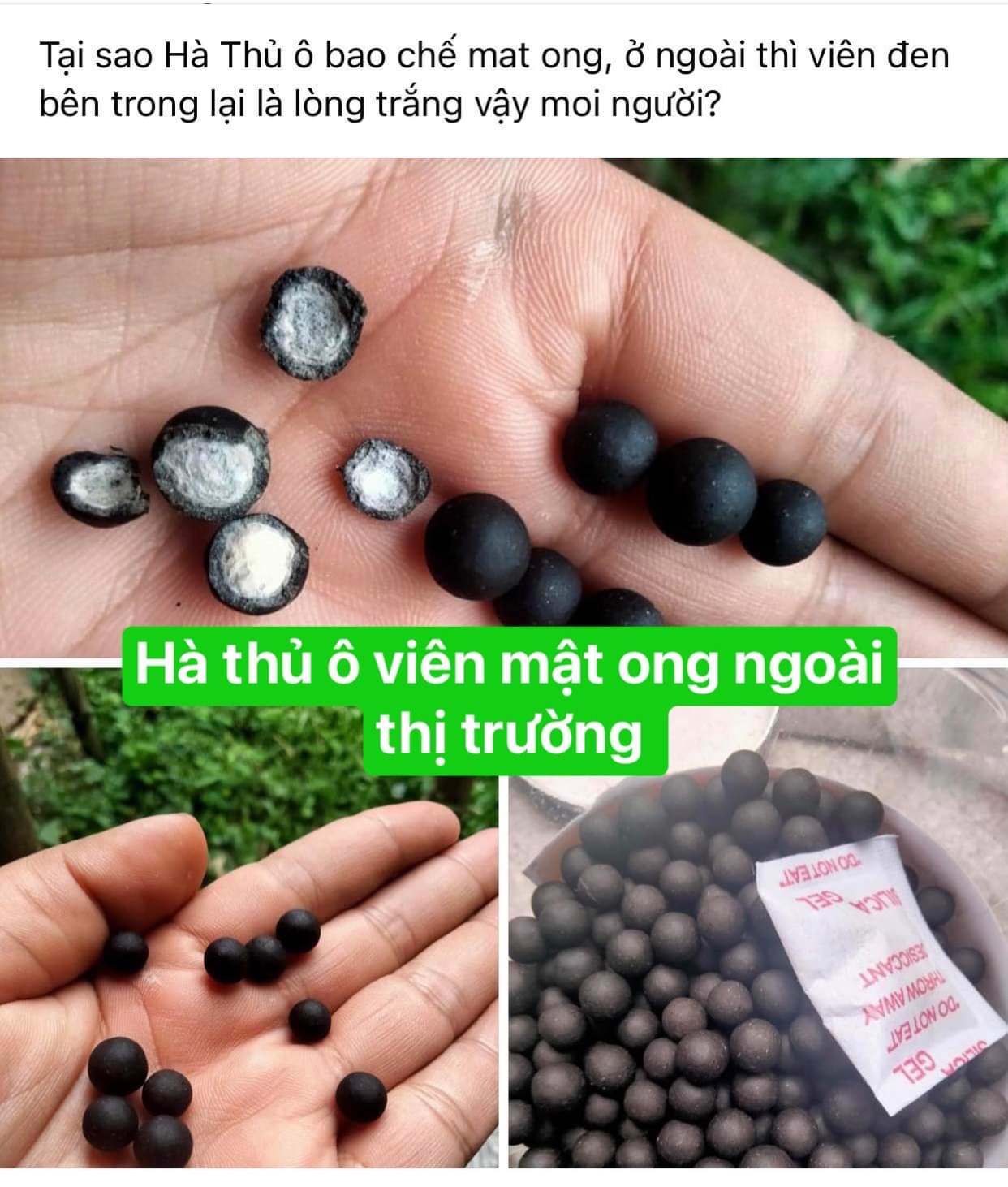 Hà thủ ô đỏ MẸ KEN hũ 500gr loại viên mật ong rừng - tặng 1 chai mẫu thử tinh dầu tràm gió nguyên chất MẸ KEN