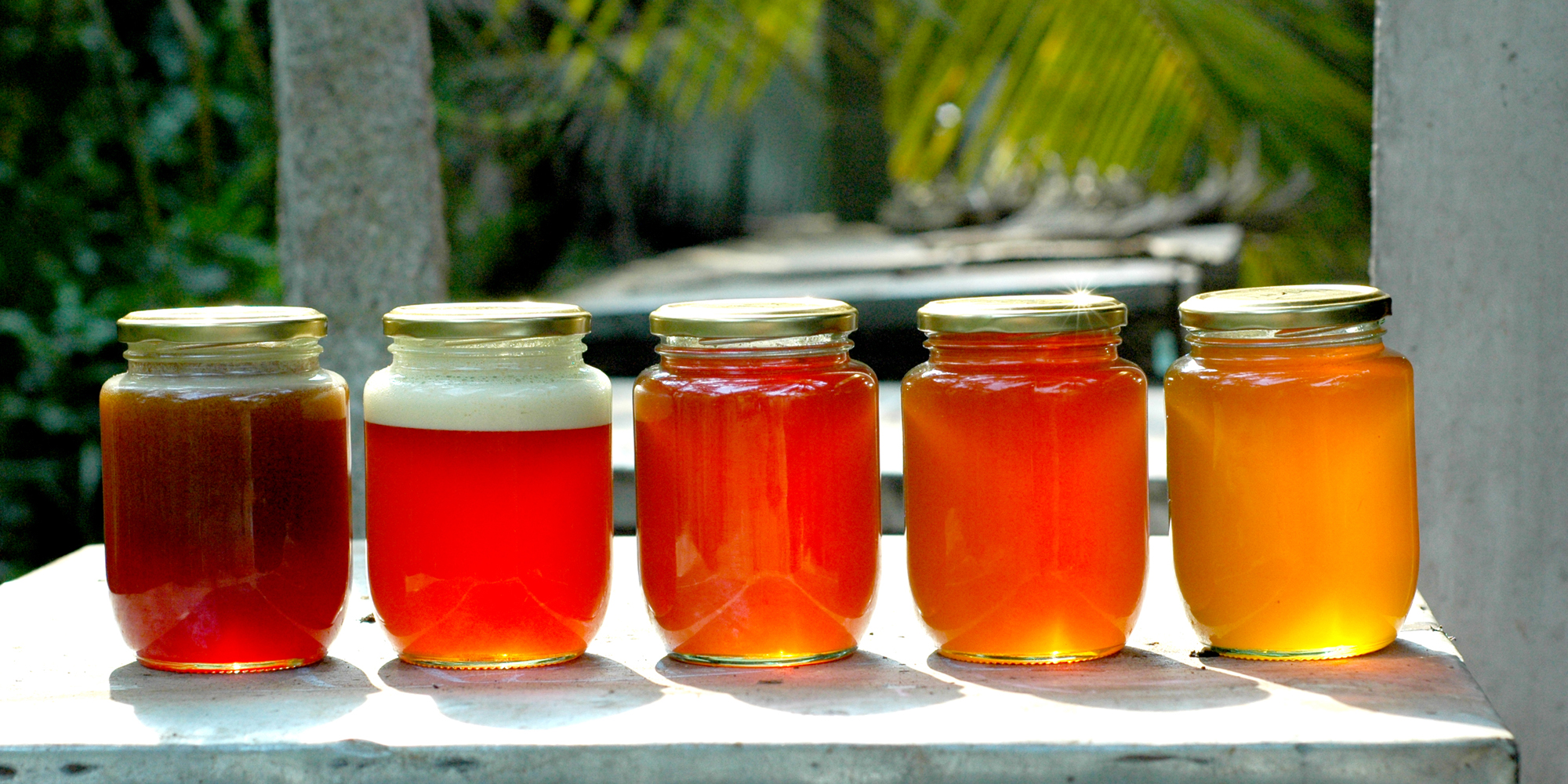 Mật Ong Hoa Nhãn Nguyên Chất 1000ml, món quà giá trị từ thiên nhiên,