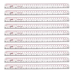 Thước dẻo PVC Thiên Long Điểm 10 SR-021