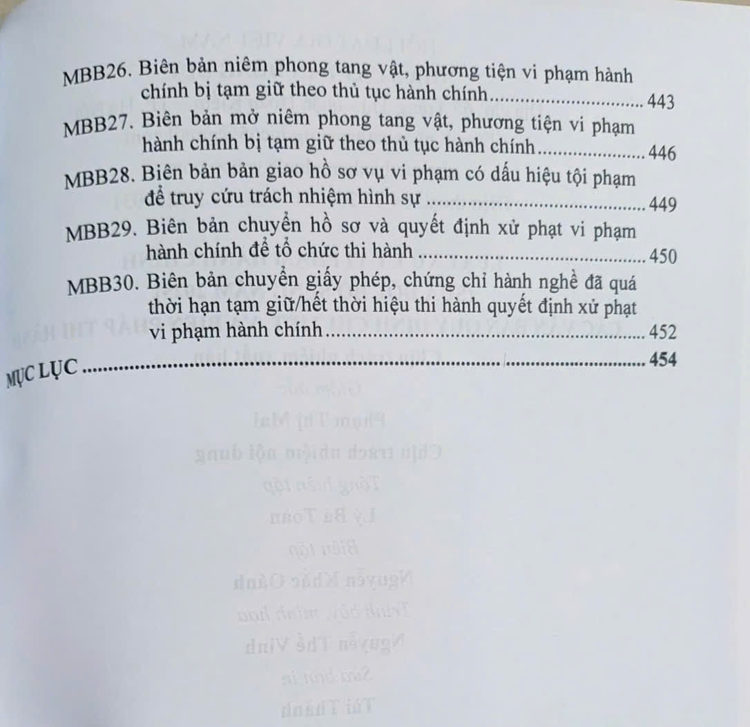Luật Xử Lý Vi Phạm Hành Chính (sửa đổi, bổ sung năm 2025) các văn bản quy định chi tiết và biện pháp thi hành