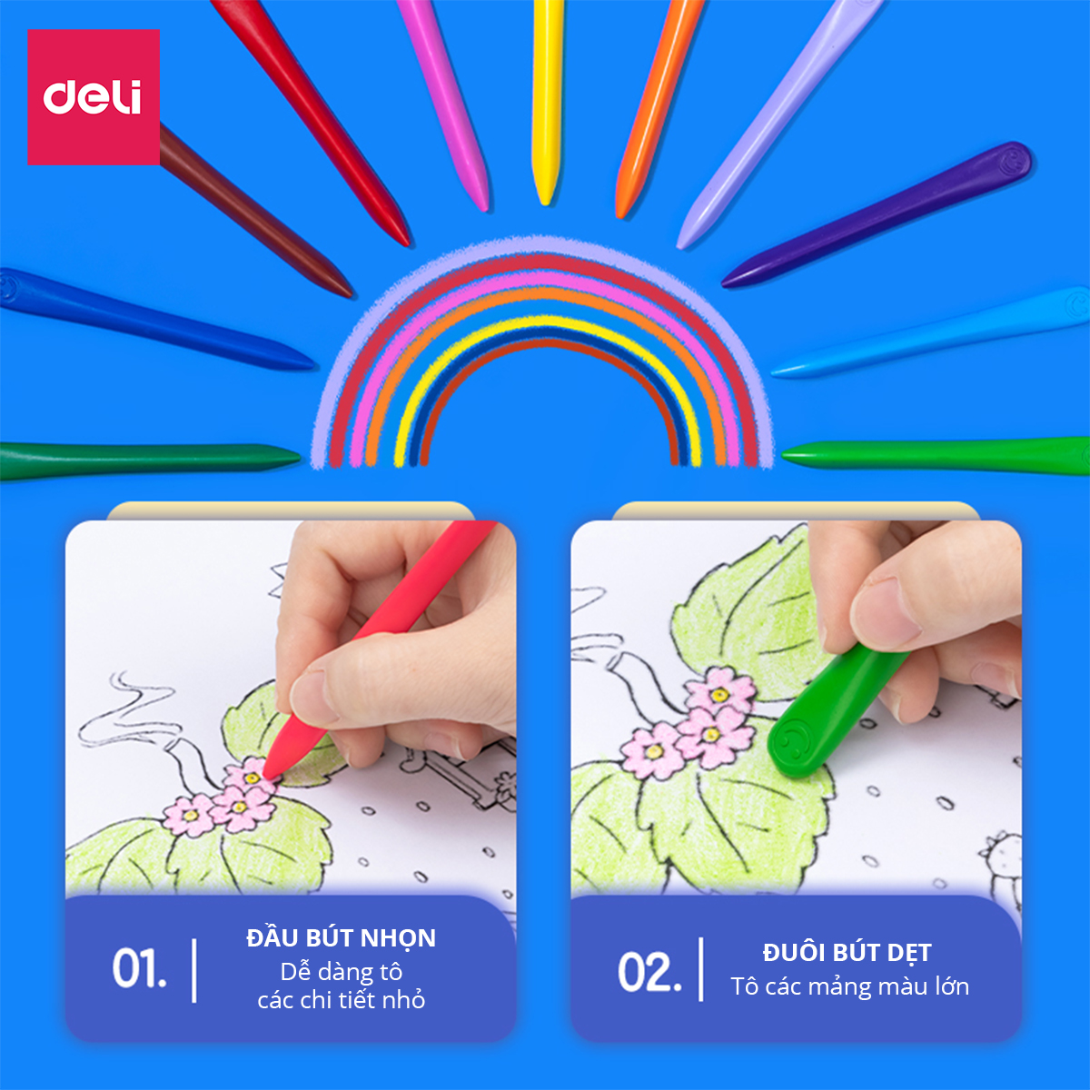 Bút sáp màu hữu cơ gấu con Deli - An toàn cho bé, không vấy bẩn tay - 12/24/36 màu - Tô màu, vẽ tranh học sinh trẻ em - Cán tam giác dễ cầm