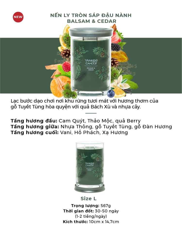 Nến ly tròn sáp đậu nành Yankee Candle size L (567g) - Balsam & Cedar