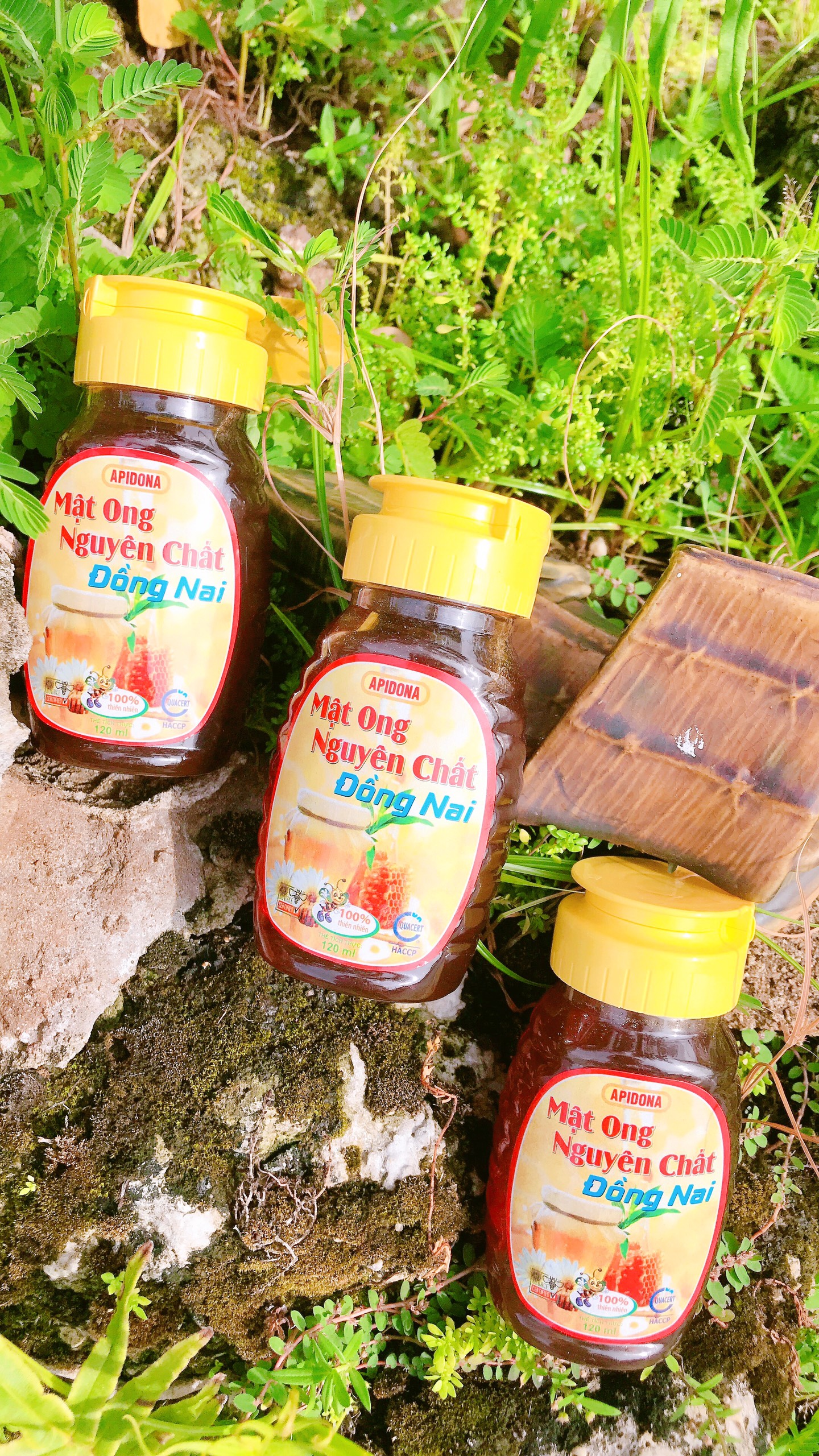COMBO 3 LỌ MẬT ONG NGUYÊN CHẤT ĐỒNG NAI 120ML