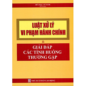 LUẬT XỬ LÝ VI PHẠM HÀNH CHÍNH VÀ GIẢI ĐÁP CÁC TÌNH HUỐNG THƯỜNG GẶP