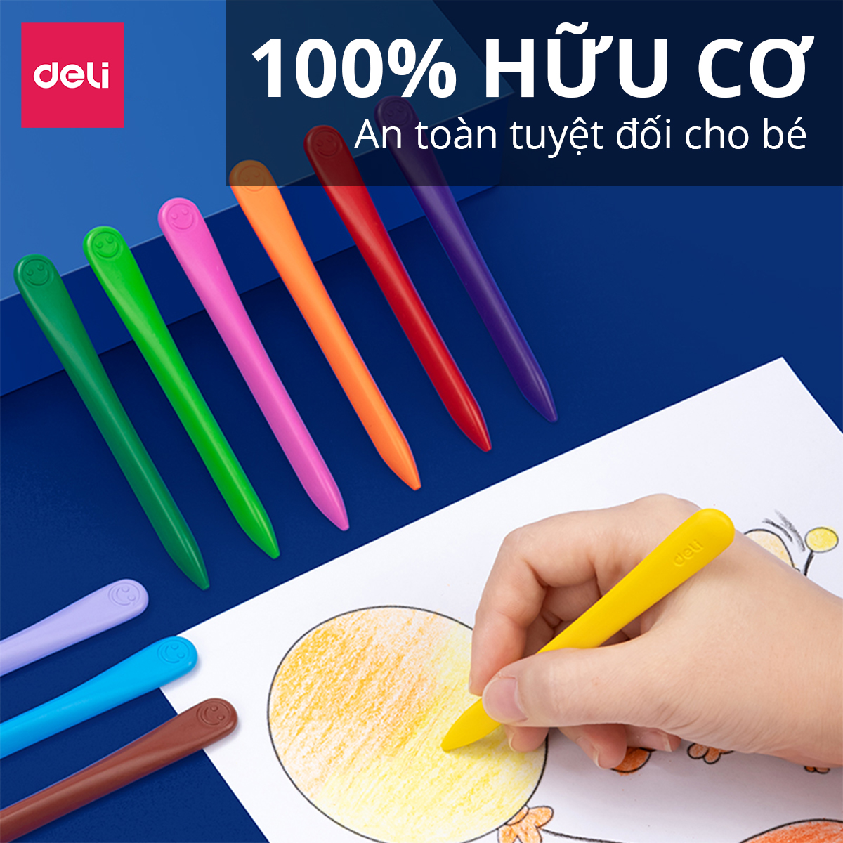 Bút sáp màu hữu cơ gấu con Deli - An toàn cho bé, không vấy bẩn tay - 12/24/36 màu - Tô màu, vẽ tranh học sinh trẻ em - Cán tam giác dễ cầm