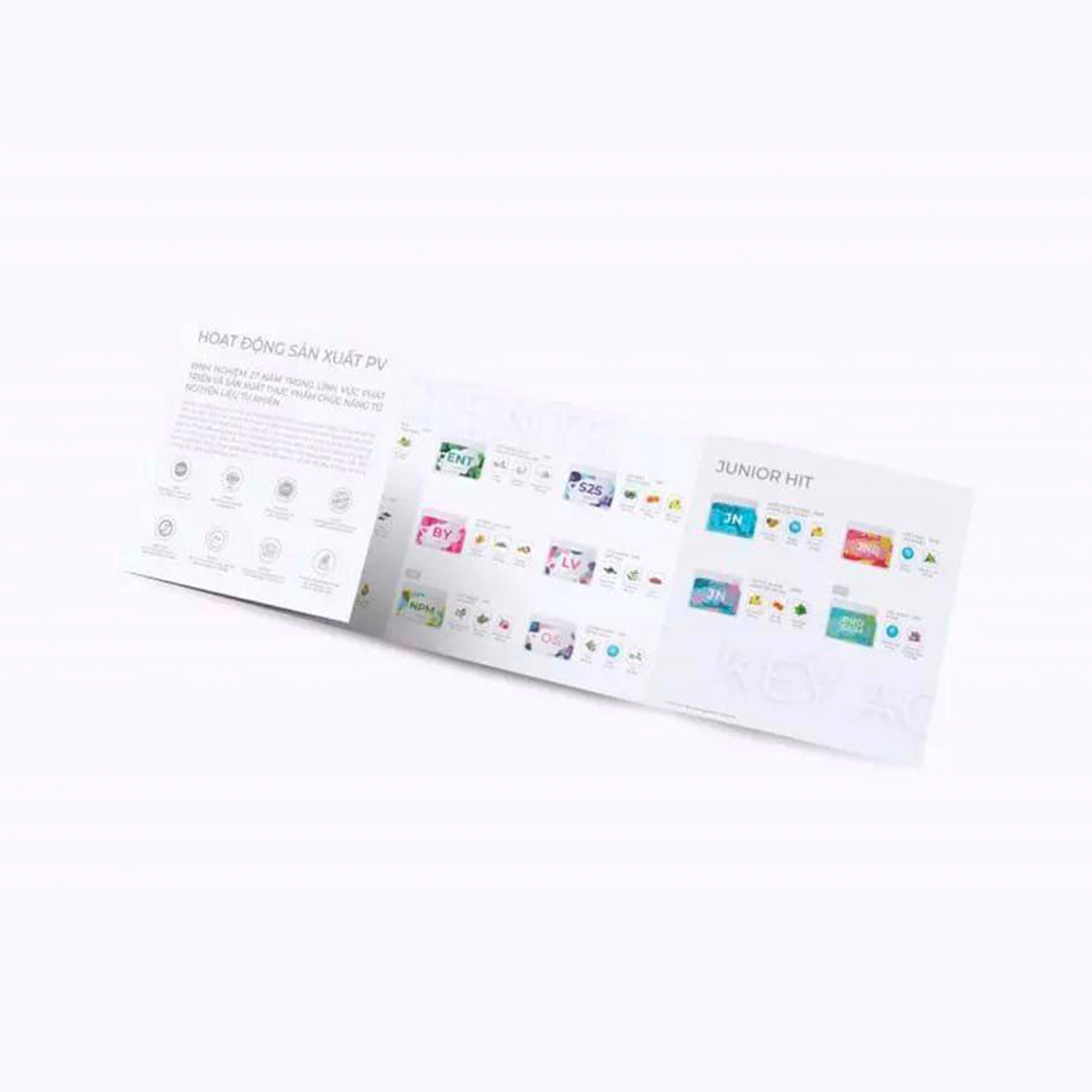 Tờ Rơi Leaflet Catalogue Bộ Sưu Tập PROJECT V (Mới) - Thiết kế đặc sắc và đẹp mắt - Hàng Chính Hãng