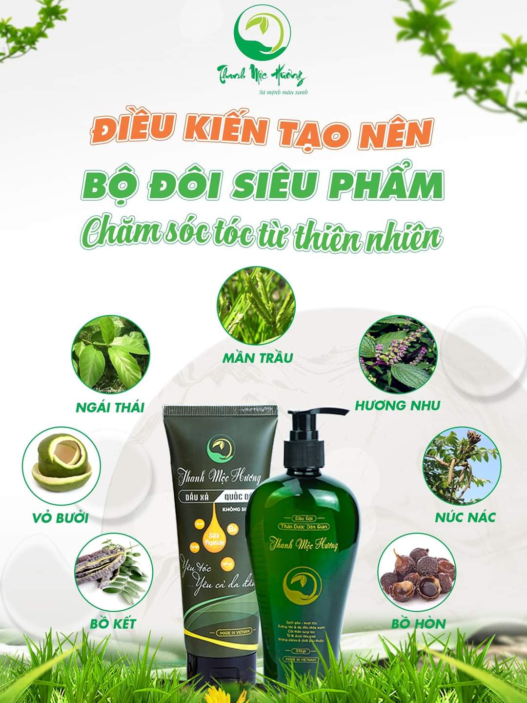 Dầu gội thảo dược Thanh Mộc Hương sạch gàu ngăn rụng tóc kích thích mọc tóc 350ml