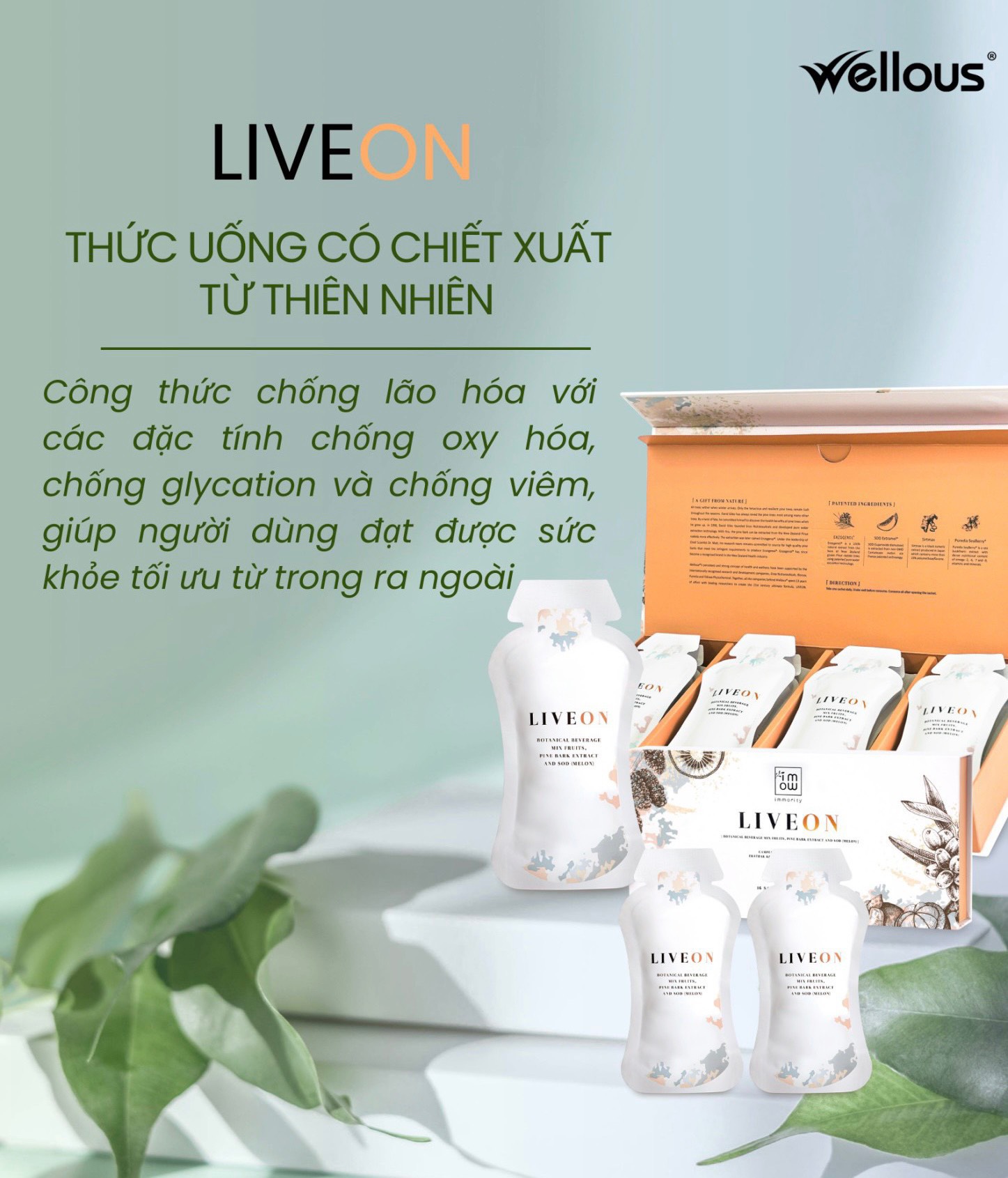 GÓI UỐNG CHỐNG LÃO HÓA LIVE ON (HỘP 16 GÓI)