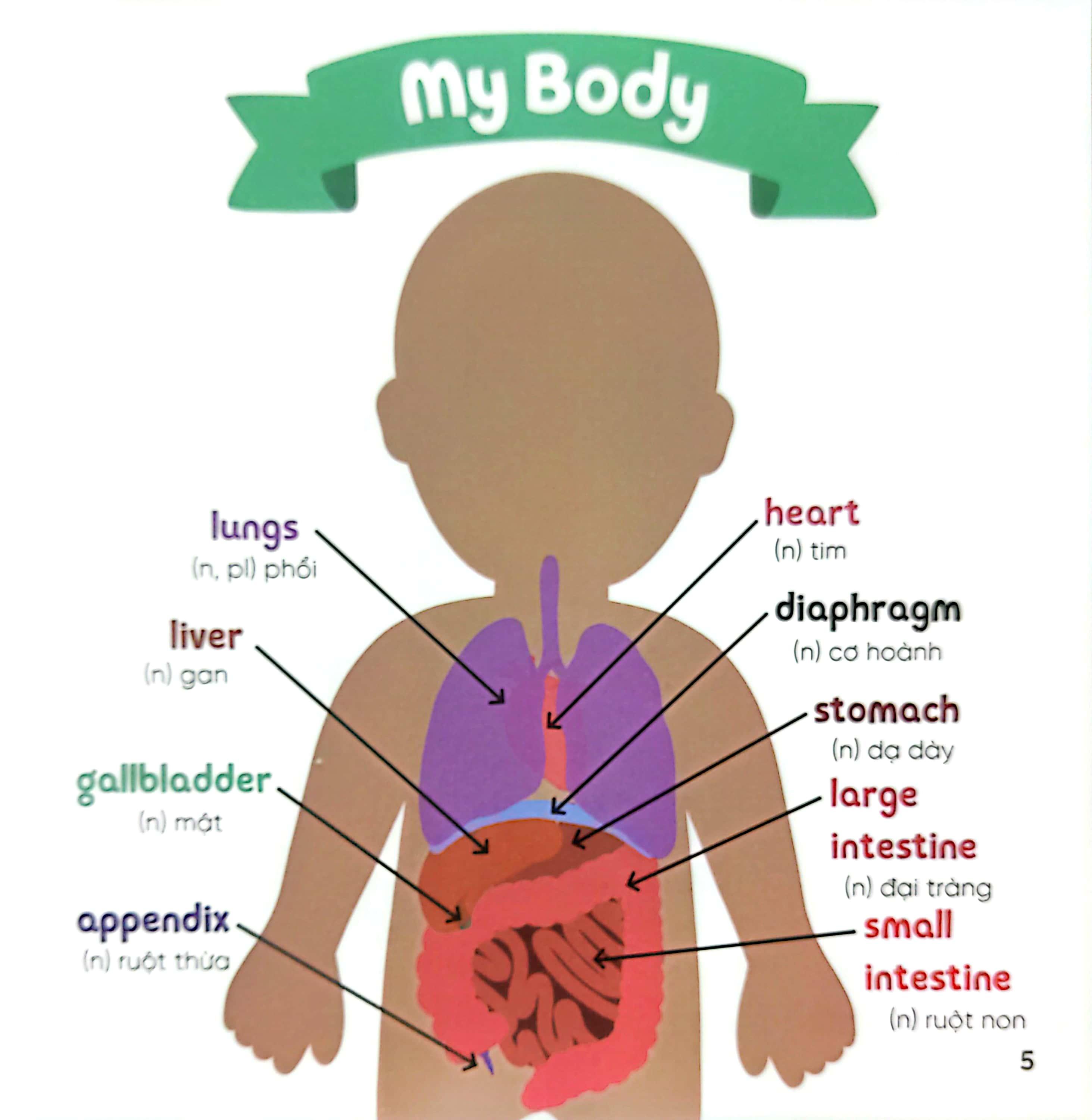 Luyện Đọc Tiếng Anh, Phát Triển Từ Vựng - Nhà Sinh Hóa Tương Lai - My Doctor