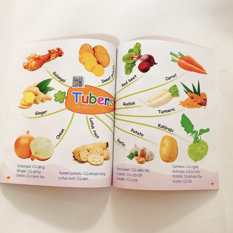 Sách - Combo 1001 Mẫu Câu Tiếng Anh Giao Tiếp Thông Dụng -SơĐồ Min Map- Chinh Phục Từ Vựng Tiếng Anh