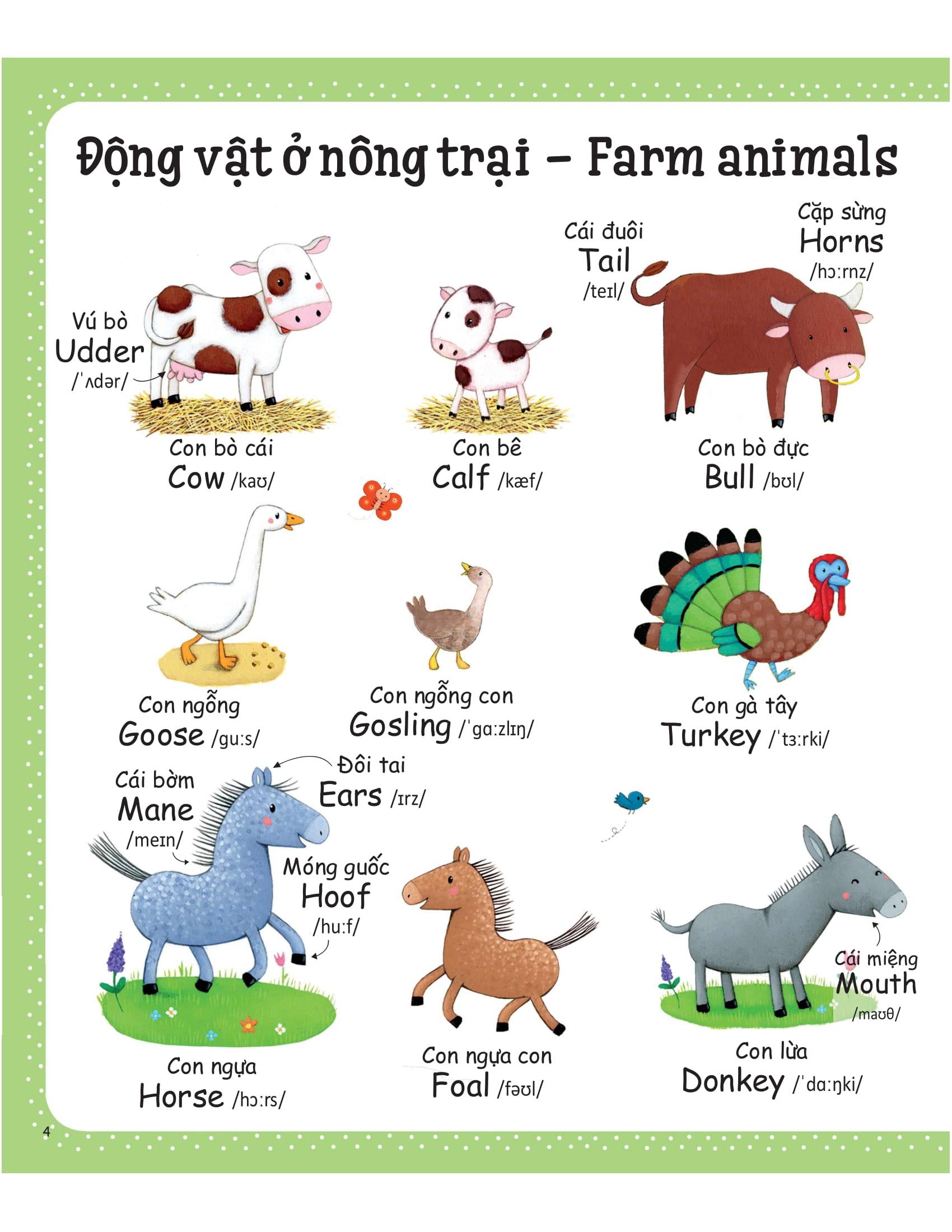Cuốn Sách Từ Vựng Đầu Tiên Của Tôi - My First Word Book- Nông Trại - Farm