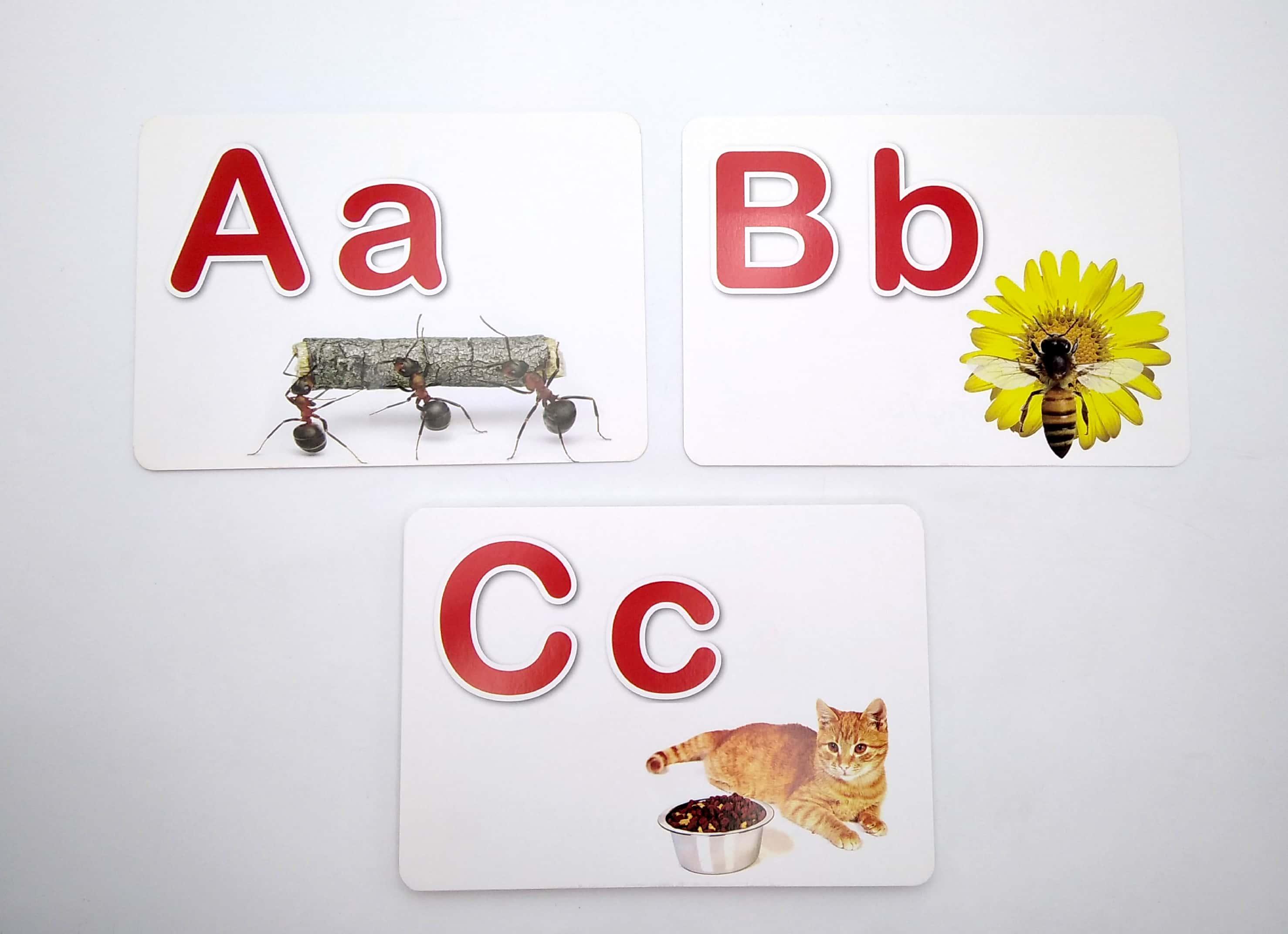 Bảng Chữ Cái Tiếng Anh - Giáo Dục Sớm Thẻ Thông Minh Chuẩn Theo Phương Pháp Giáo Dục Của Glenn Doman