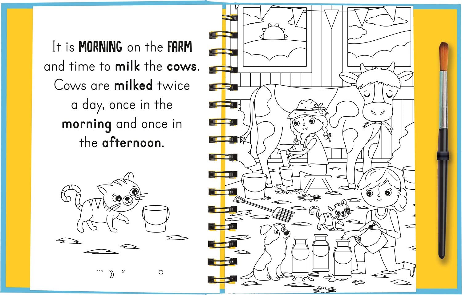 Sách thiếu nhi Tiếng Anh: Moo and Baa - Farm