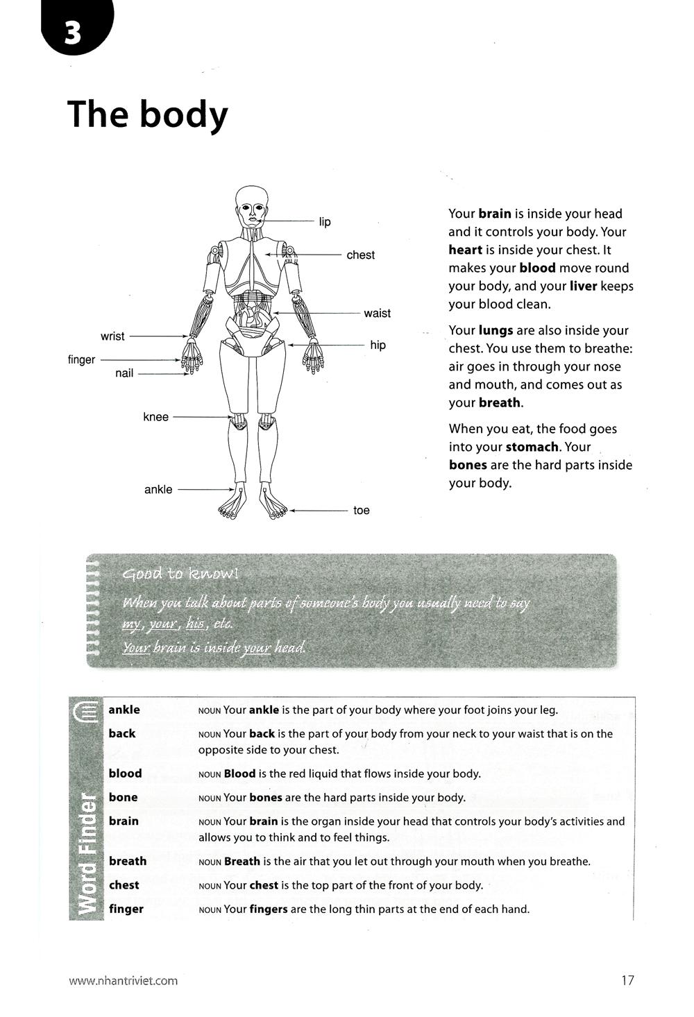 Work On Your Vocabulary A2 - Pre-Intermediate (Tái Bản)
