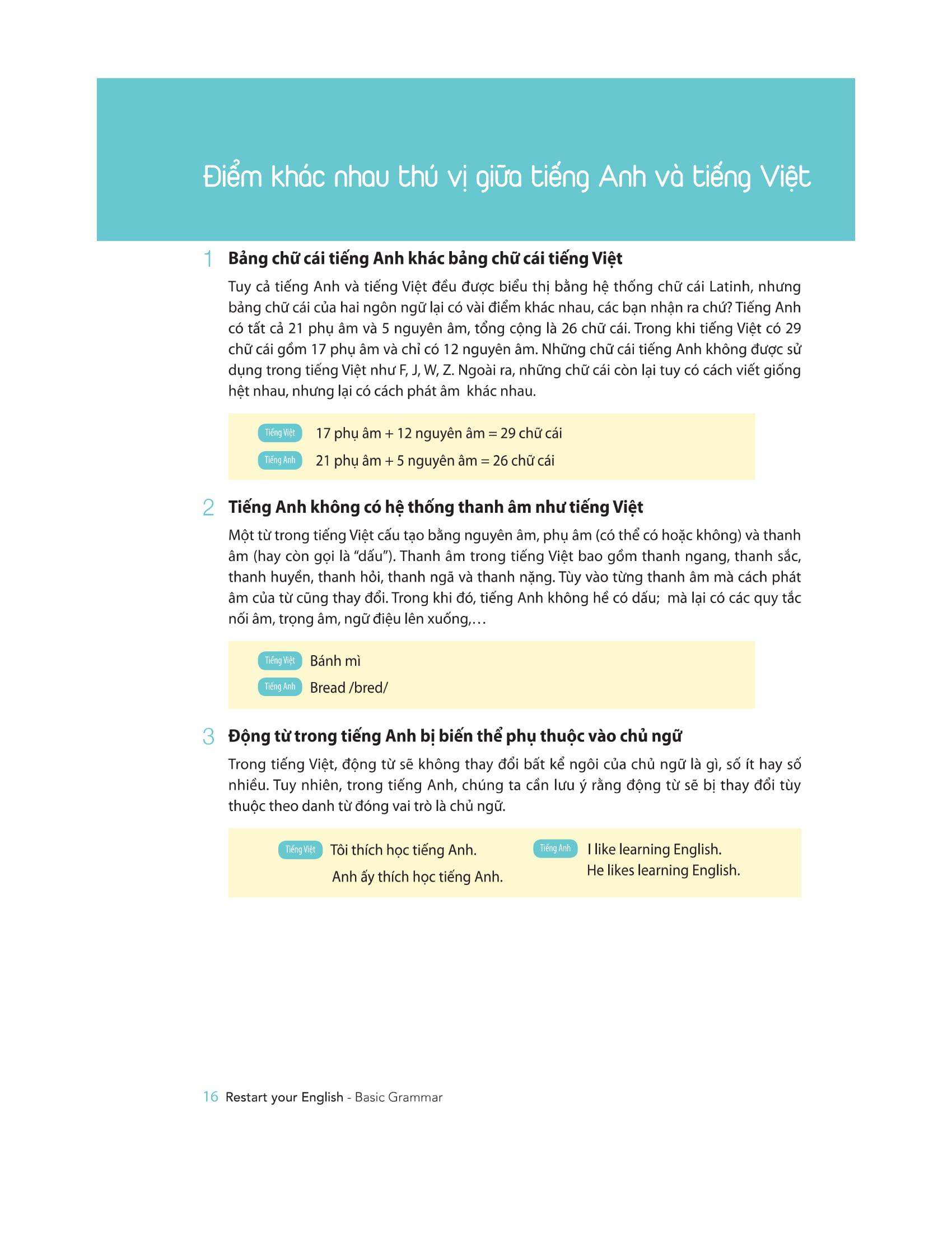 Restart Your English - Basic Grammar