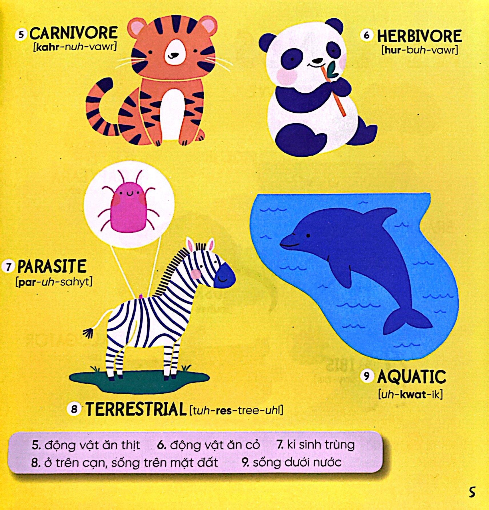 Steam Words Nature - Từ Vựng Về Tự Nhiên