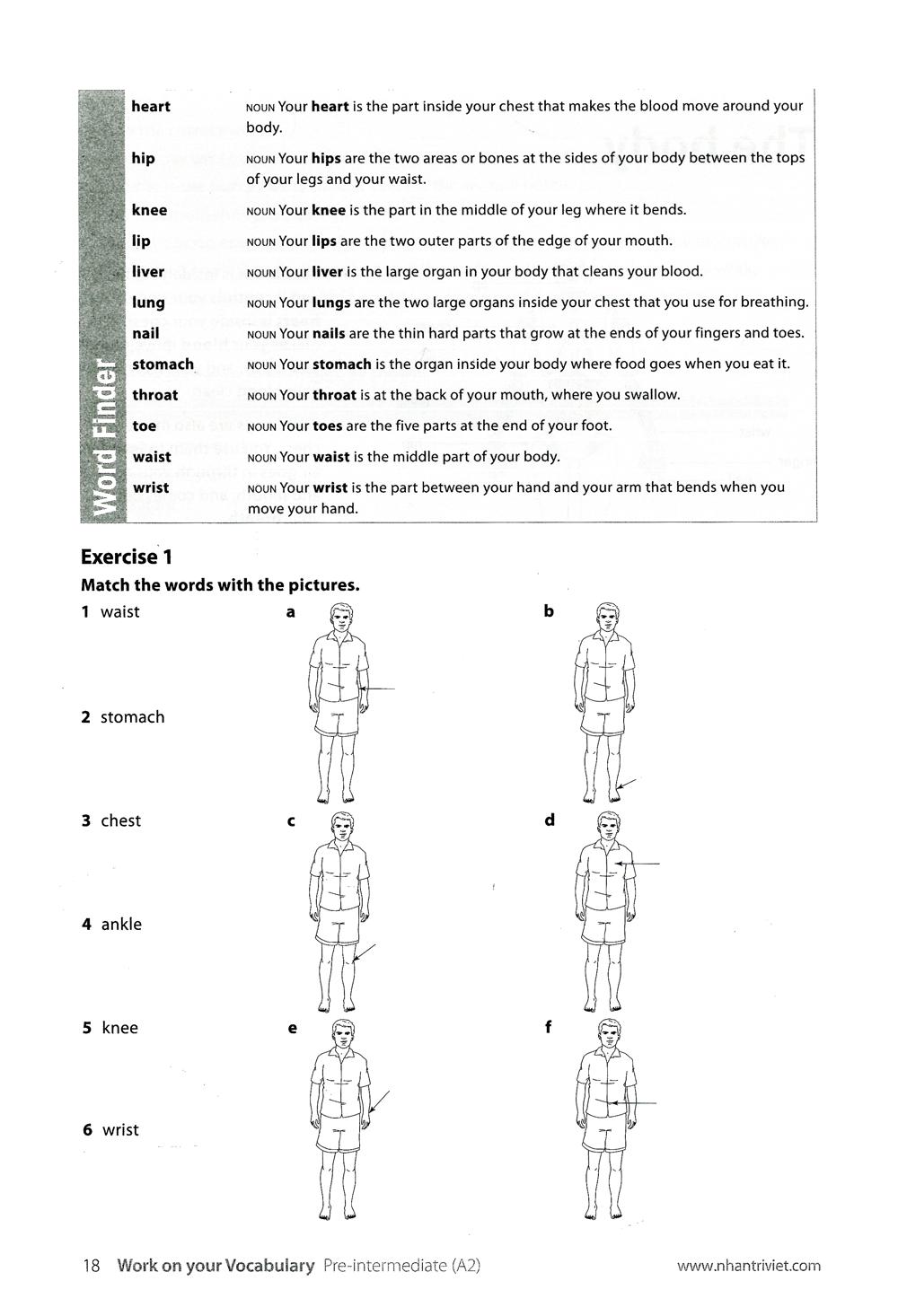 Work On Your Vocabulary A2 - Pre-Intermediate (Tái Bản)
