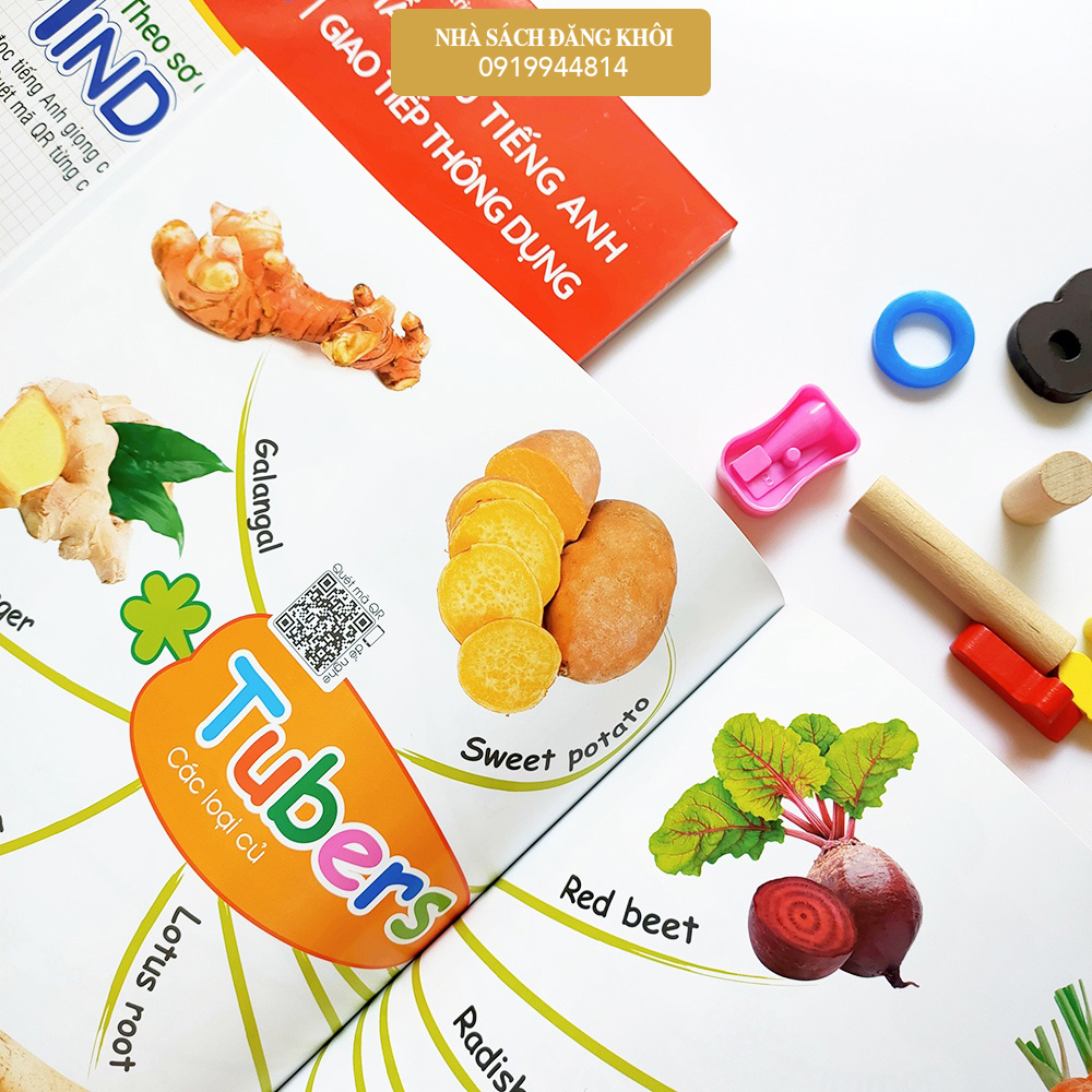 Sách - Combo 1001 Mẫu Câu Tiếng Anh Giao Tiếp Thông Dụng -SơĐồ Min Map- Chinh Phục Từ Vựng Tiếng Anh