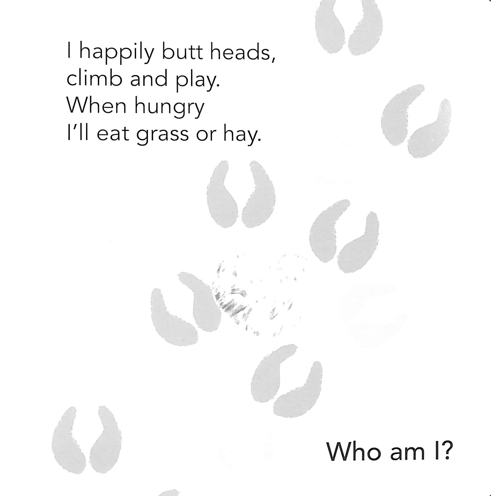 Who Am I? Touch & Feel Flap Book: Farm Animals