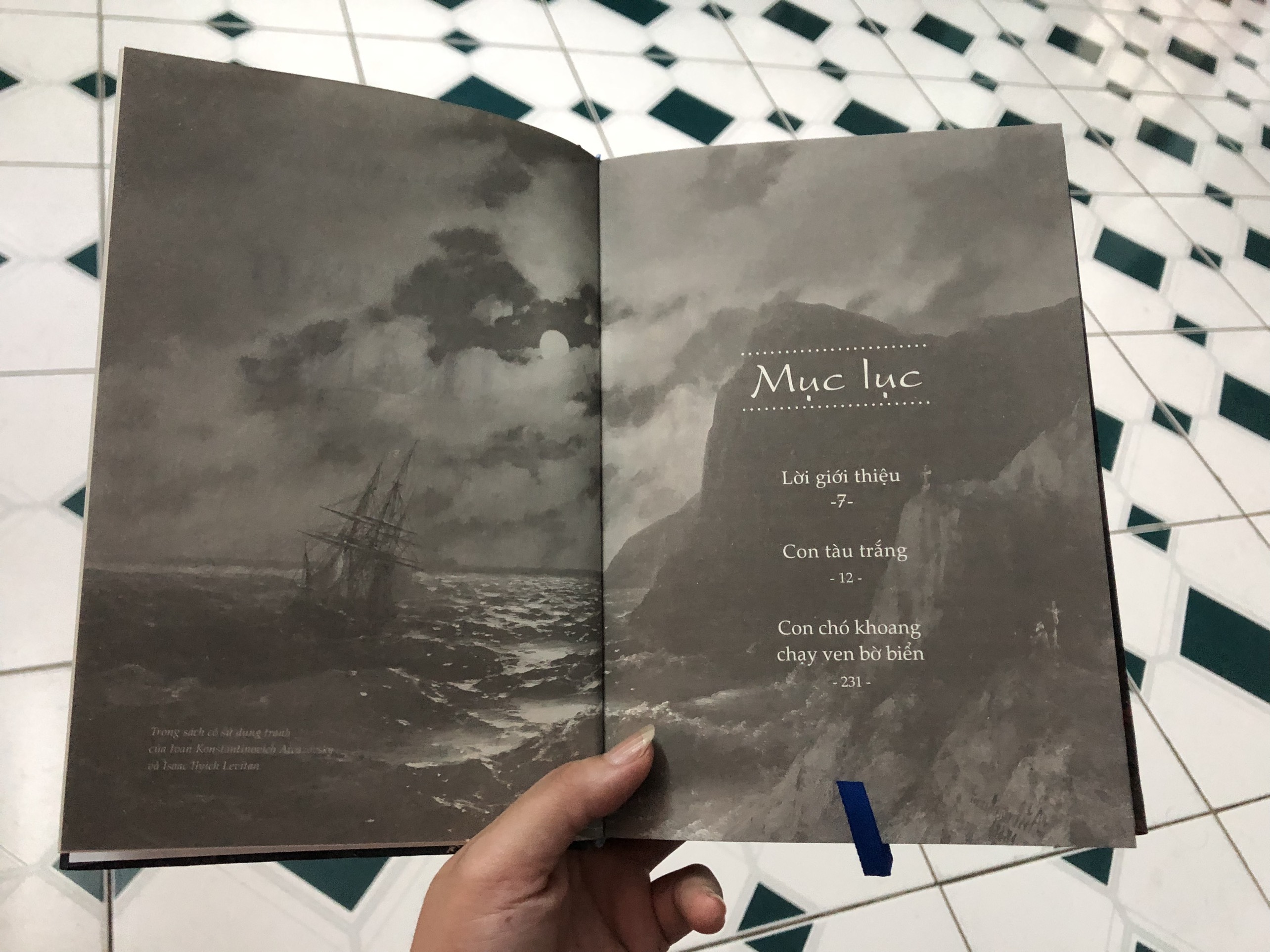 Con tàu trắng (Bìa cứng)