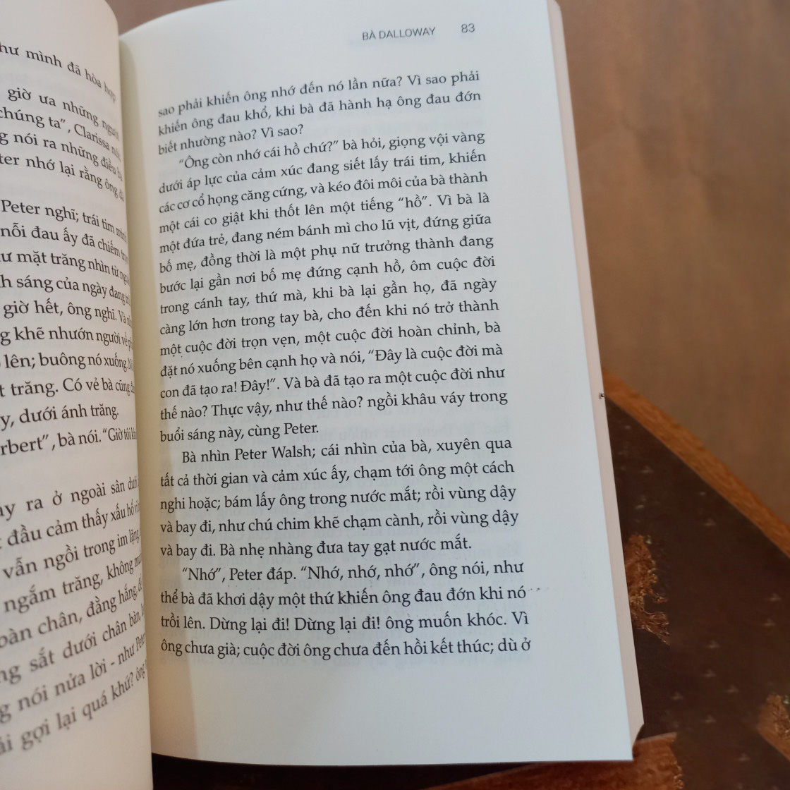 Sách – Bà Dalloway (combo 2 phiên bản: cứng giới hạn áo bọc có đánh số & bìa mềm tay gập) - Virginia Woolf - Trần Nguyên dịch - Rainbow Books