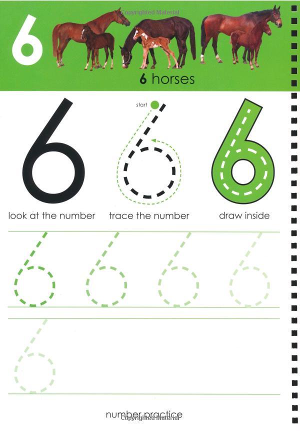 Wipe Clean Workbook Numbers 1-20