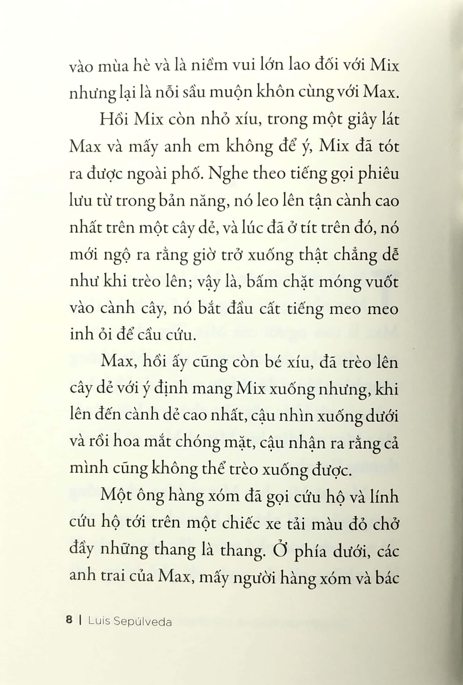 Chuyện Con Mèo Và Con Chuột Bạn Thân Của Nó - Tái Bản