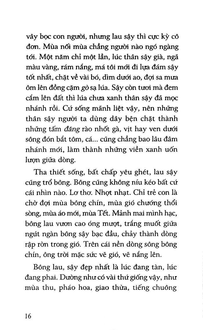 Yêu Người Ngóng Núi