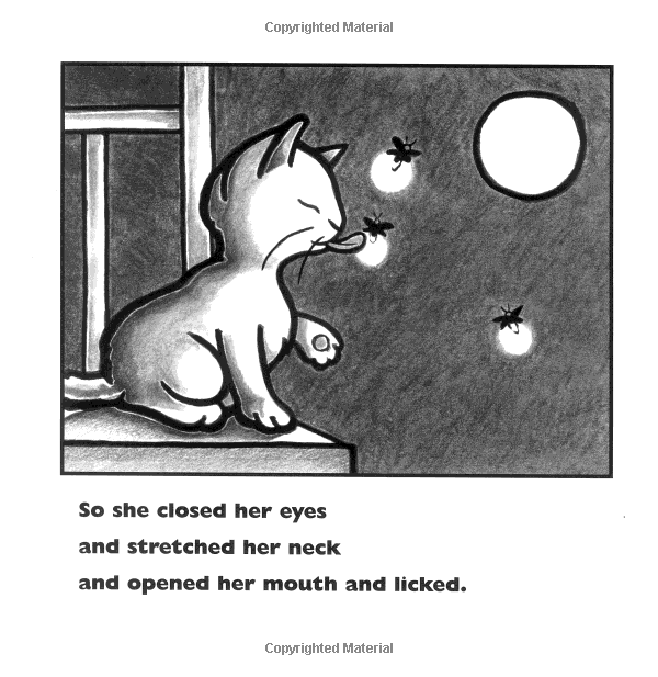 Kitten