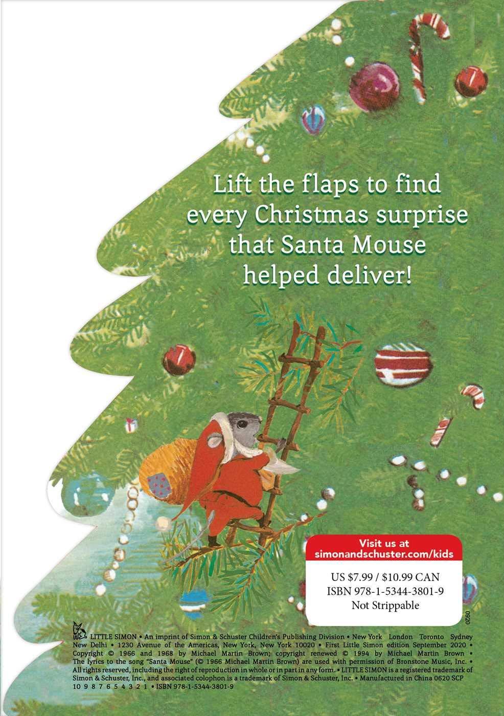 Santa Mouse Christmas Surprise: A Lift-the-Flap Book