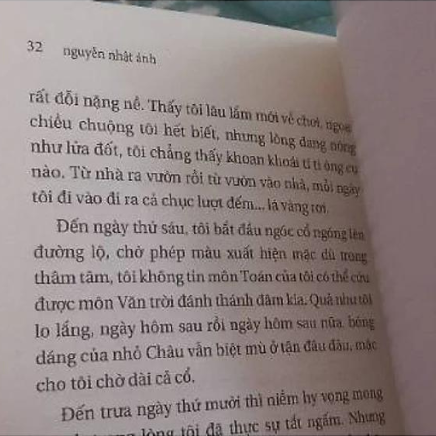 Trại Hoa Vàng (Tái Bản 2022)