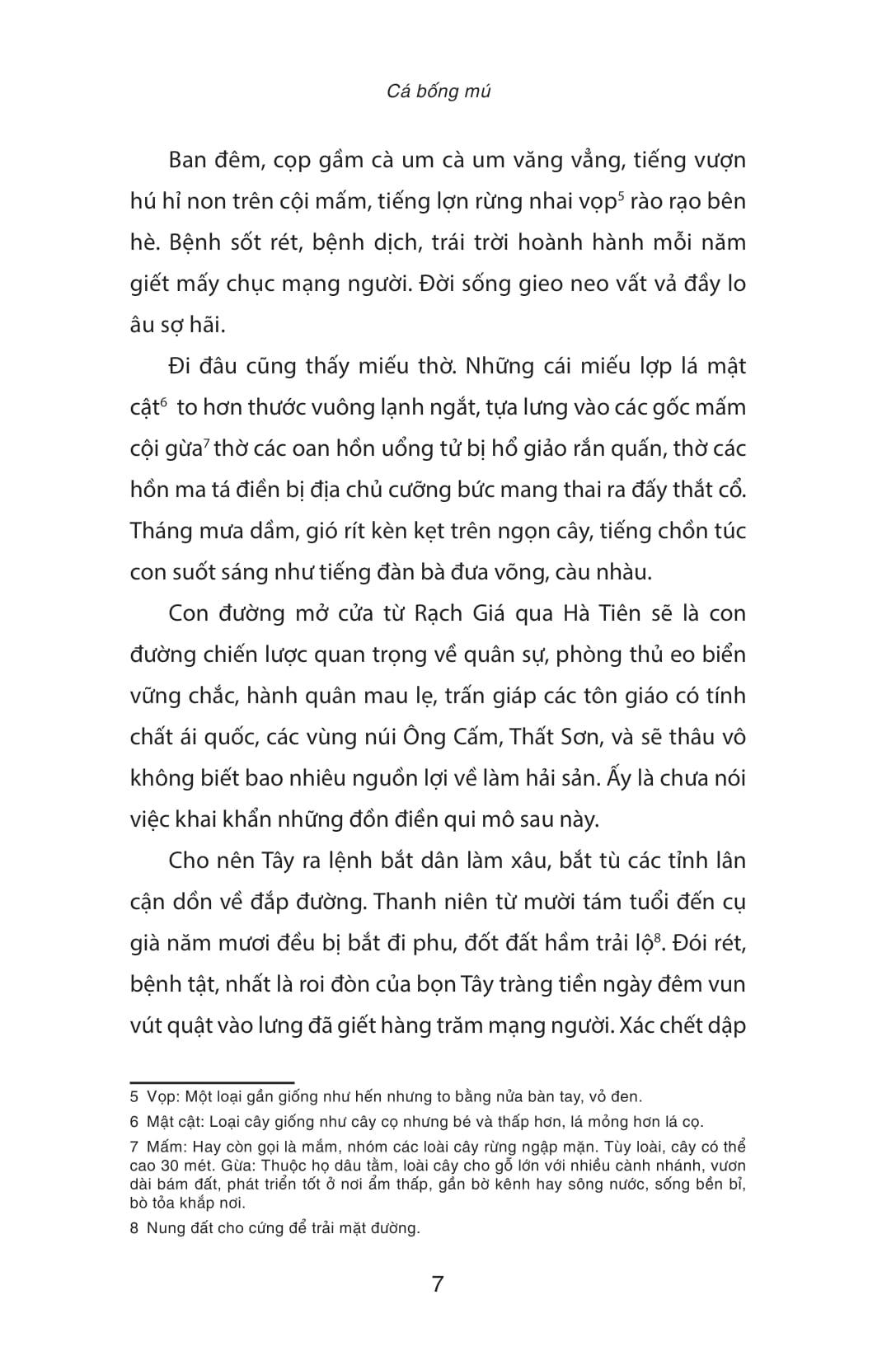 Sách - Cá Bống Mú (Tái Bản 2025)