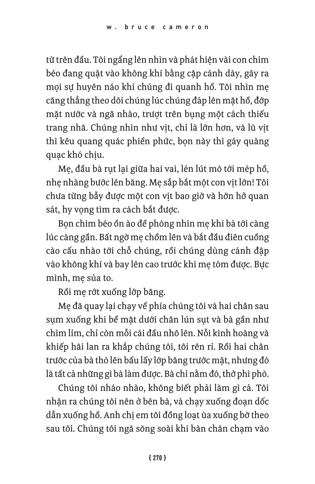 Lời Hứa Của Một Chú Chó - A Dog