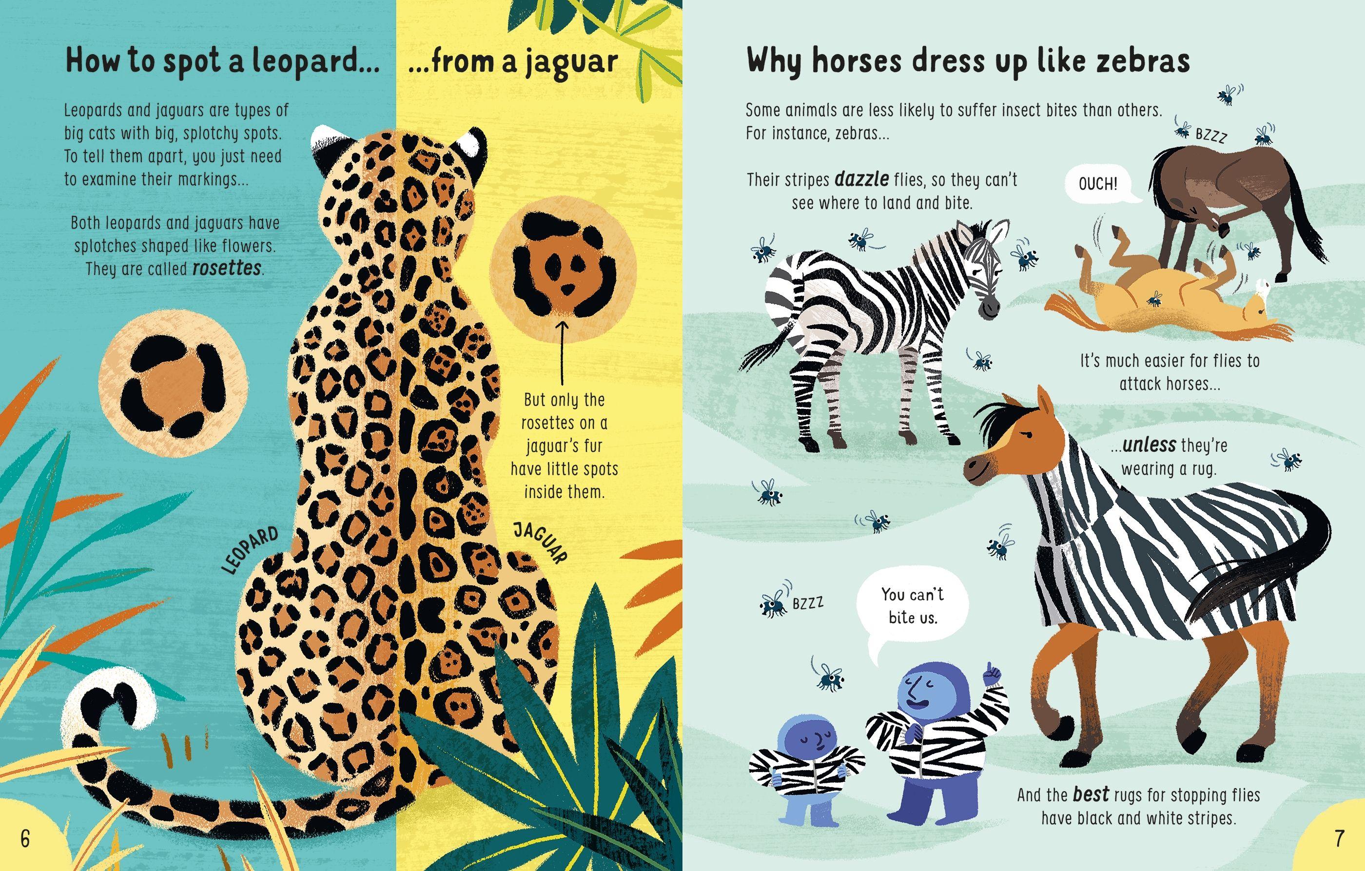 Lots Of Things To Know About Animals