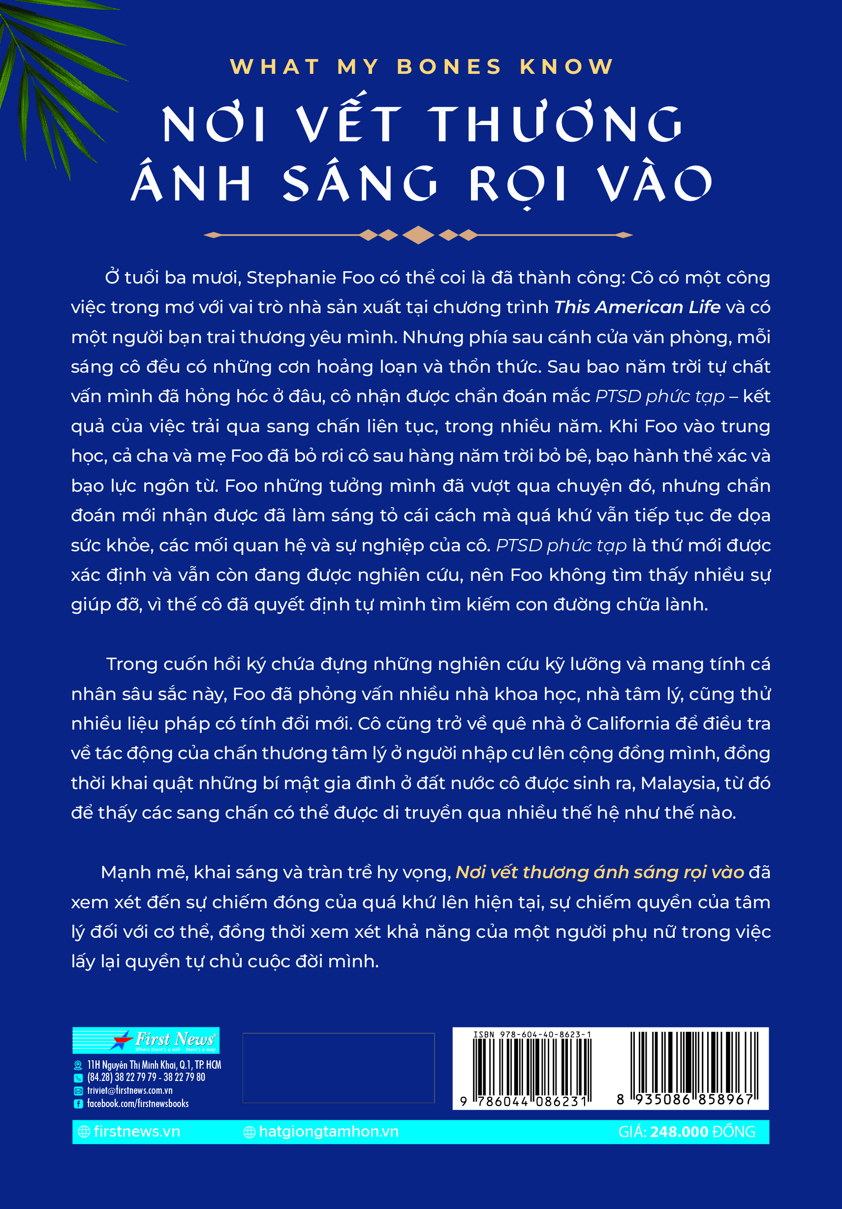 Nơi Vết Thương Ánh Sáng Rọi Vào