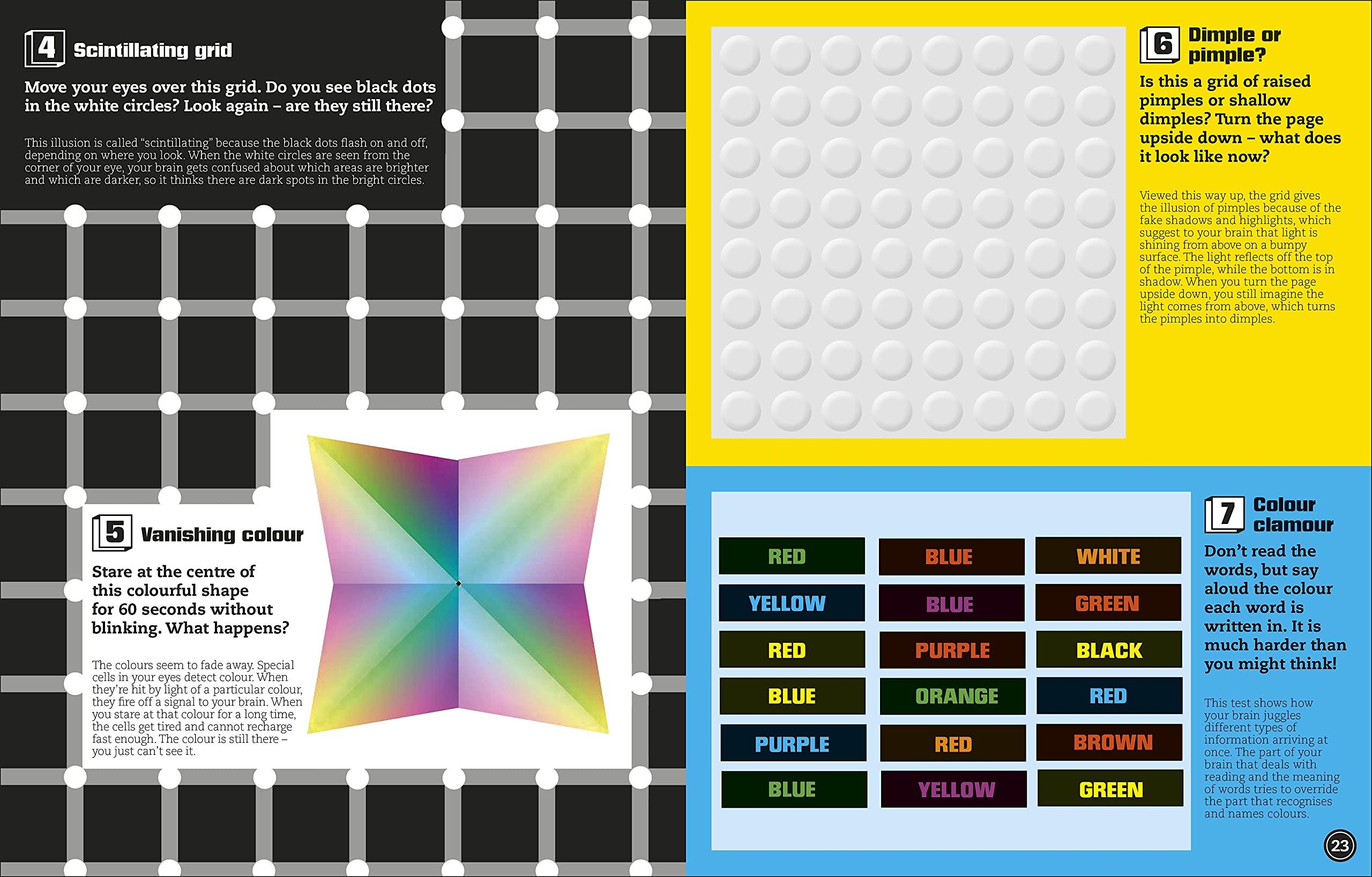 Optical Illusions: Incredible Pop-Up Visual Magic!
