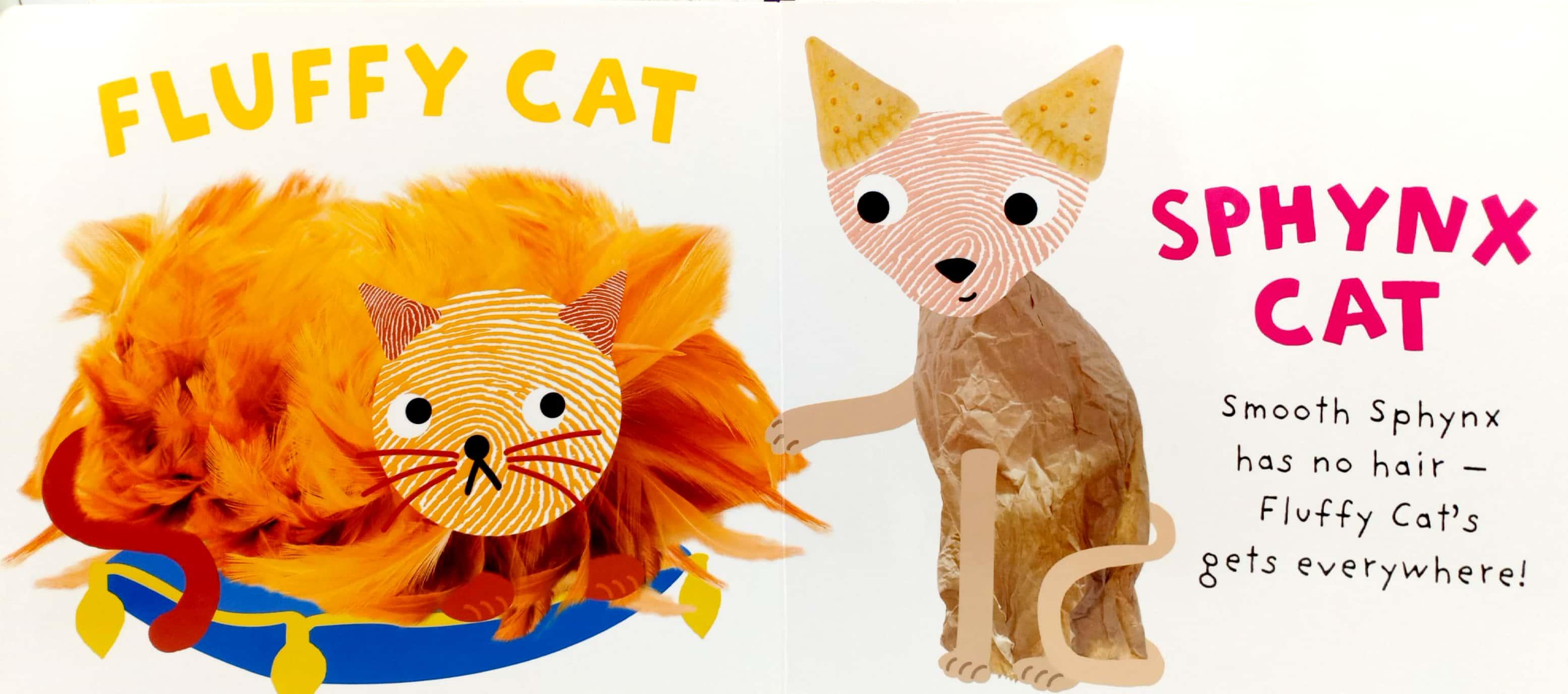Alphaprints Curious Cat