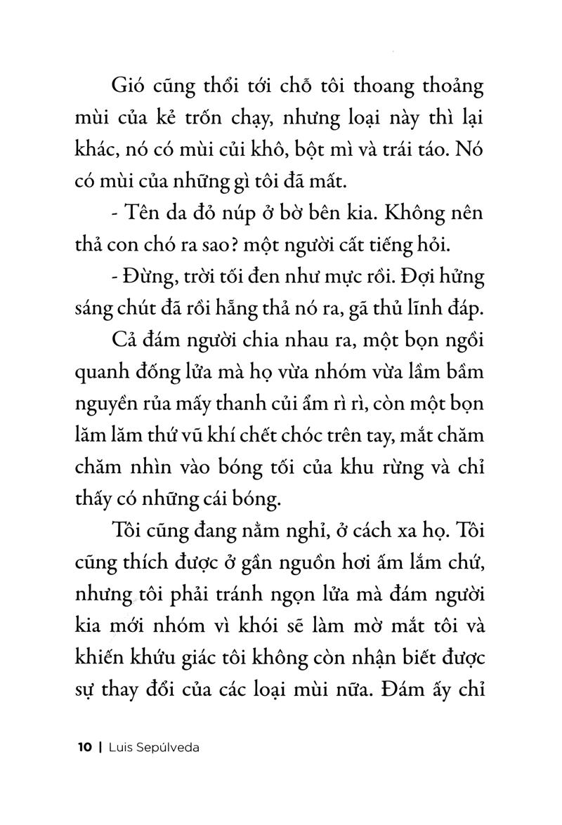 Chuyện Con Chó Tên Là Trung Thành
