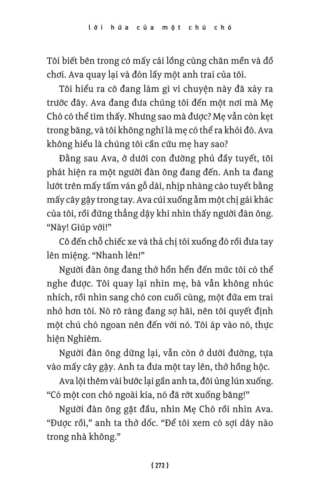 Lời Hứa Của Một Chú Chó - A Dog