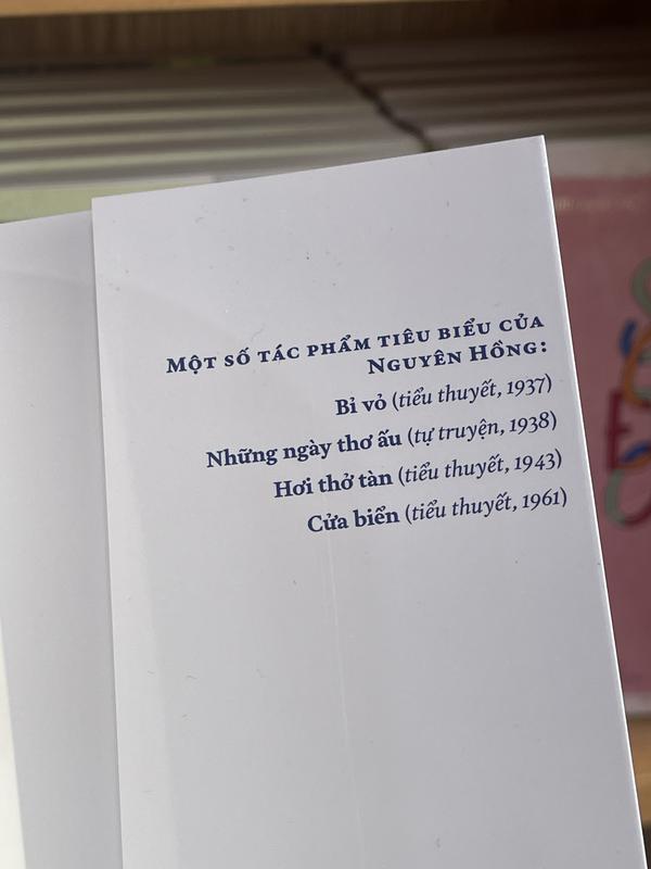 Sách - Những ngày thơ ấu (Việt Nam danh tác) (Nhã Nam HCM)