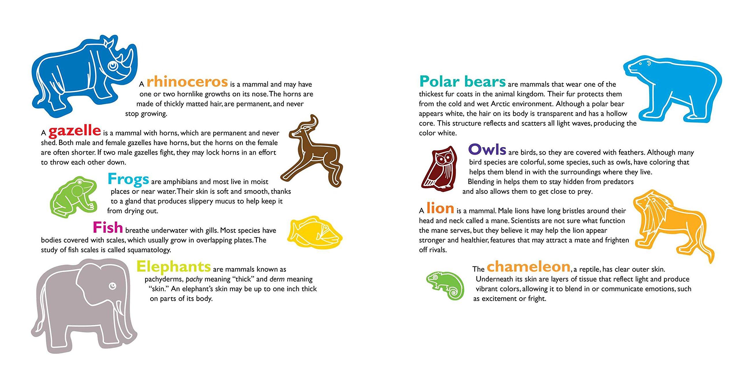 Feathers And Hair, What Animals Wear