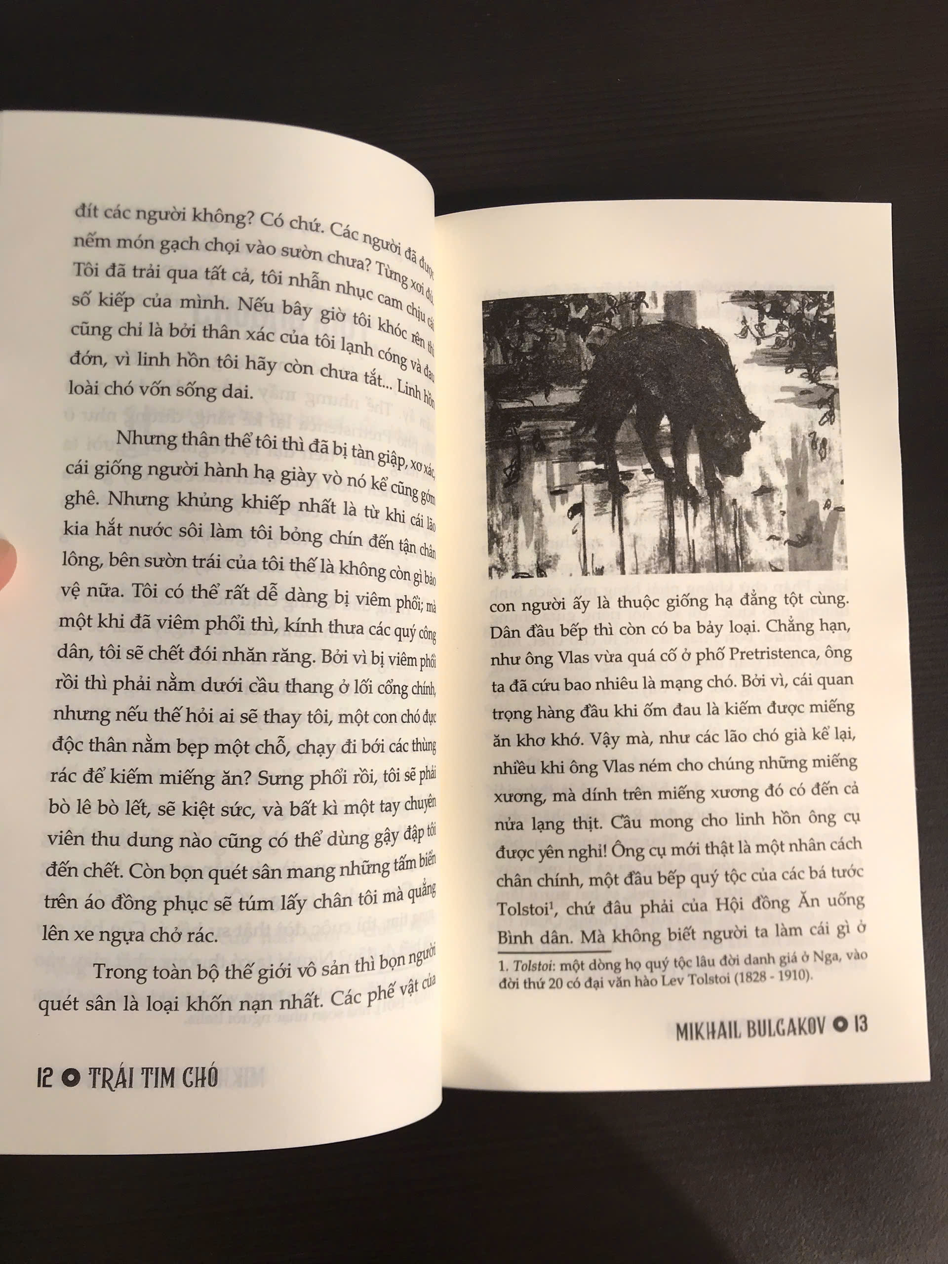 Trái Tim Chó - Mikhail Bulgacov (Đoàn Tử Huyến dịch)
