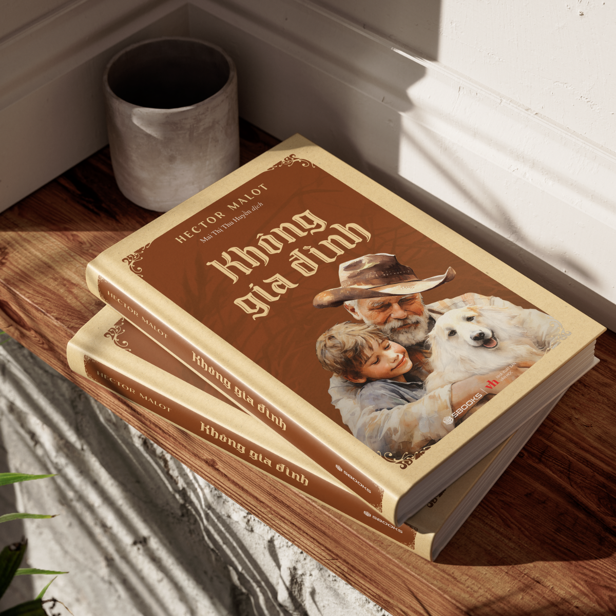 Sách - Không Gia Đình (Hector Malot) - SBOOKS