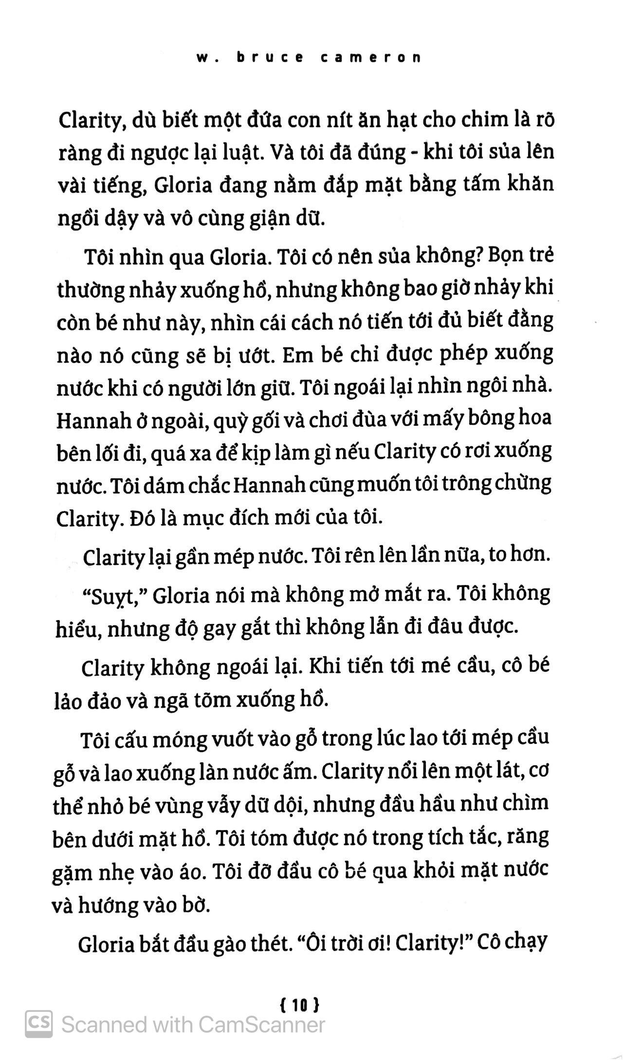Hành Trình Của Một Chú Chó
