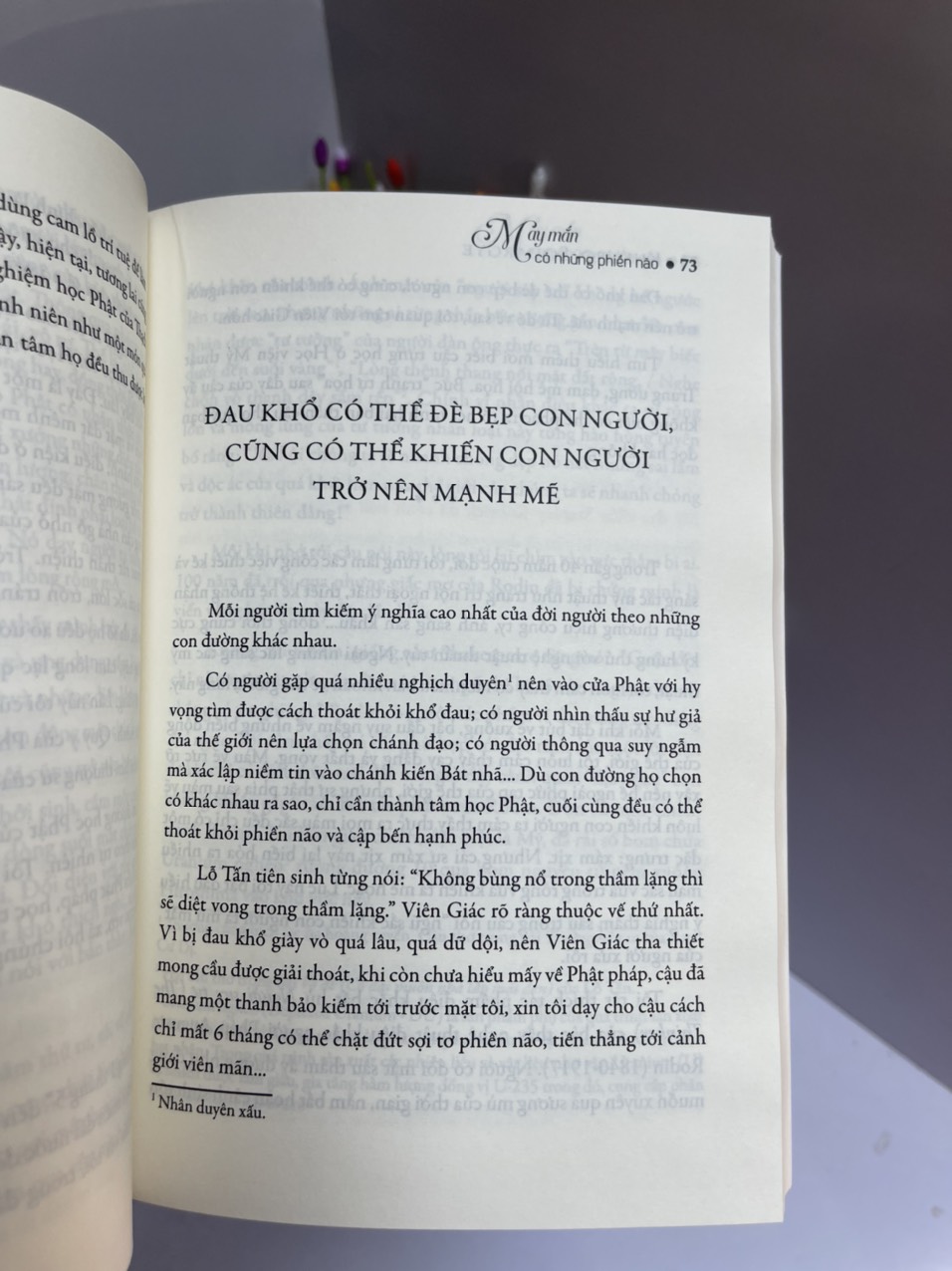 MAY MẮN CÓ NHỮNG PHIỀN NÃO - Khenpo Sodargye - Thuận Minh dịch - Achaubooks – NXB Lao Động