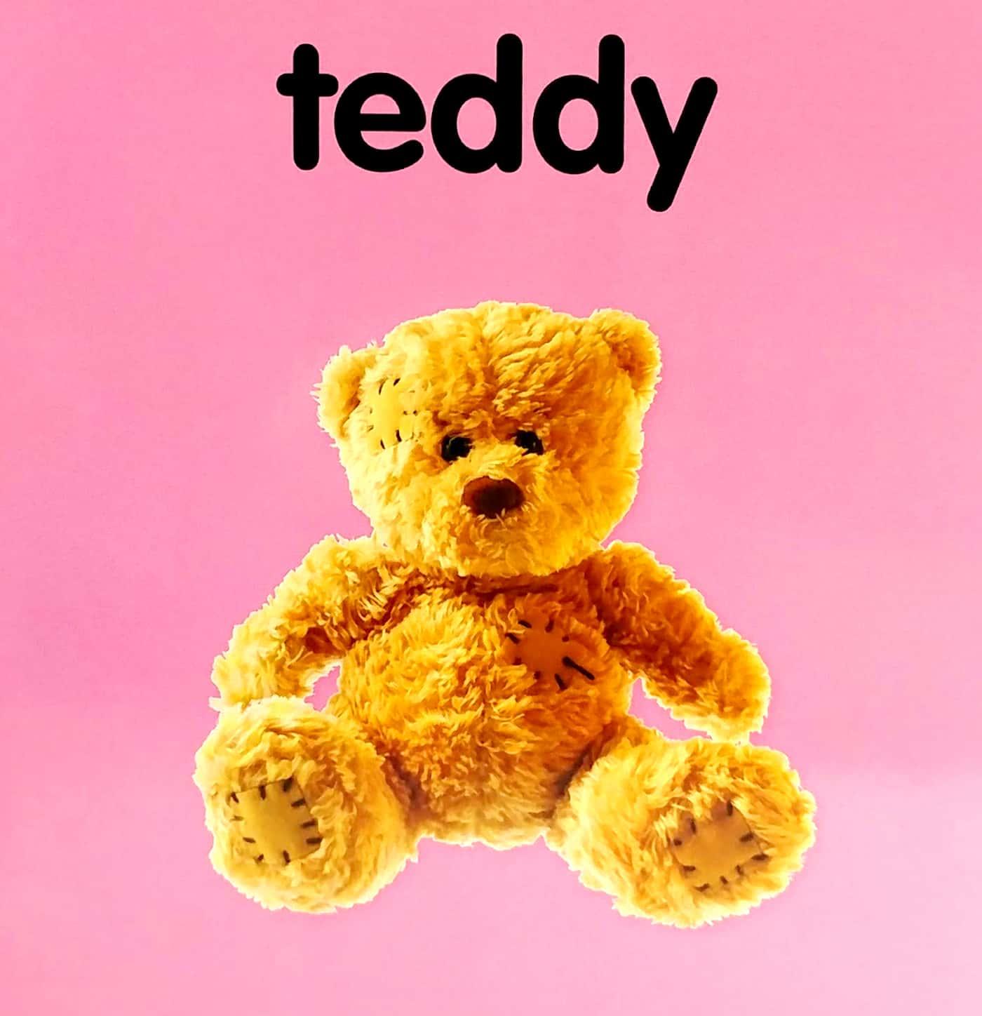 My First Words: Toys